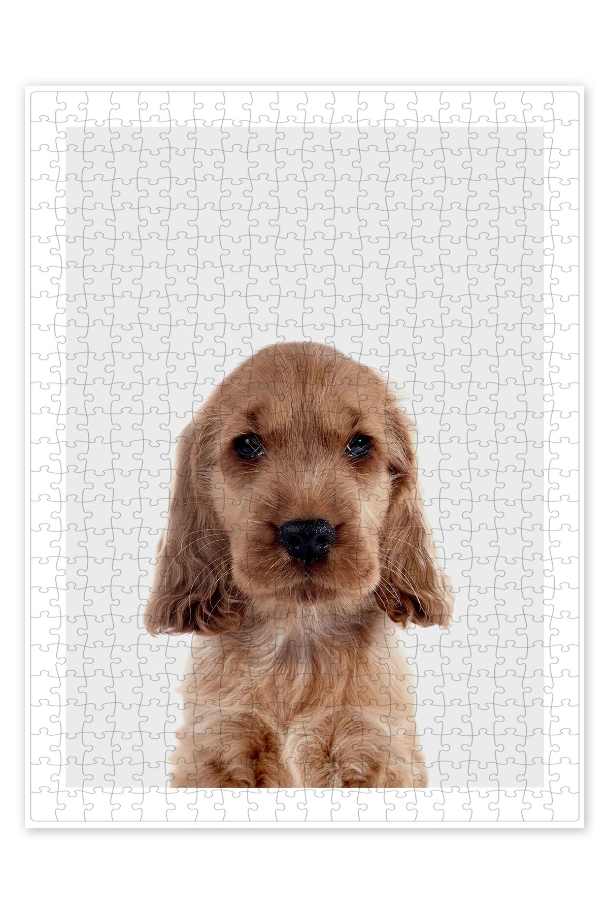 Jeronkarji Cocker Spaniel Yavrusu 500 Parça Puzzle Yapboz Kedi Köpek Temalı Doğa ve Orman Hayvanları