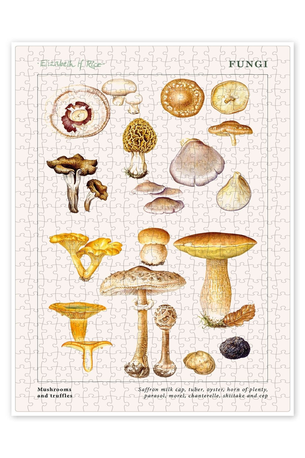 Jeronkarji Mantar ve trüfler 500 Parça Puzzle Yapboz Mutfak Temalı Yetişkinler için