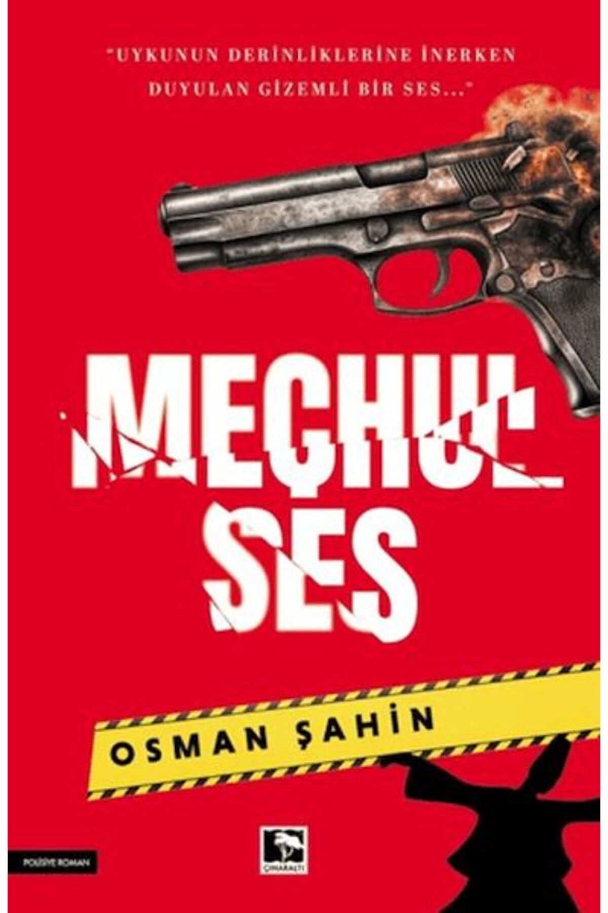 Çınaraltı Yayınları Meçhul Ses