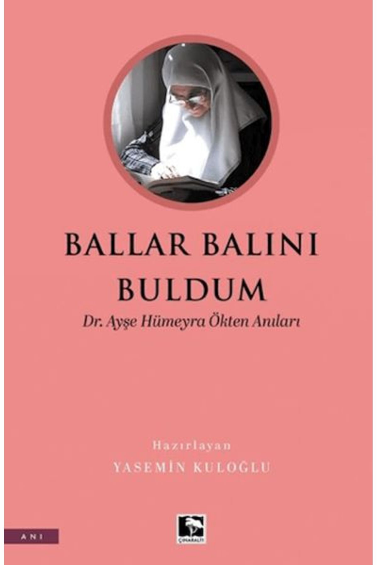 Çınaraltı Yayınları Ballar Balını Buldum