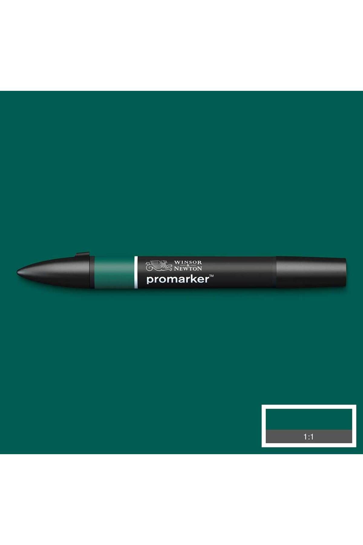 Winsor Newton Winsor & Newton Promarker Holly 243 (G724)