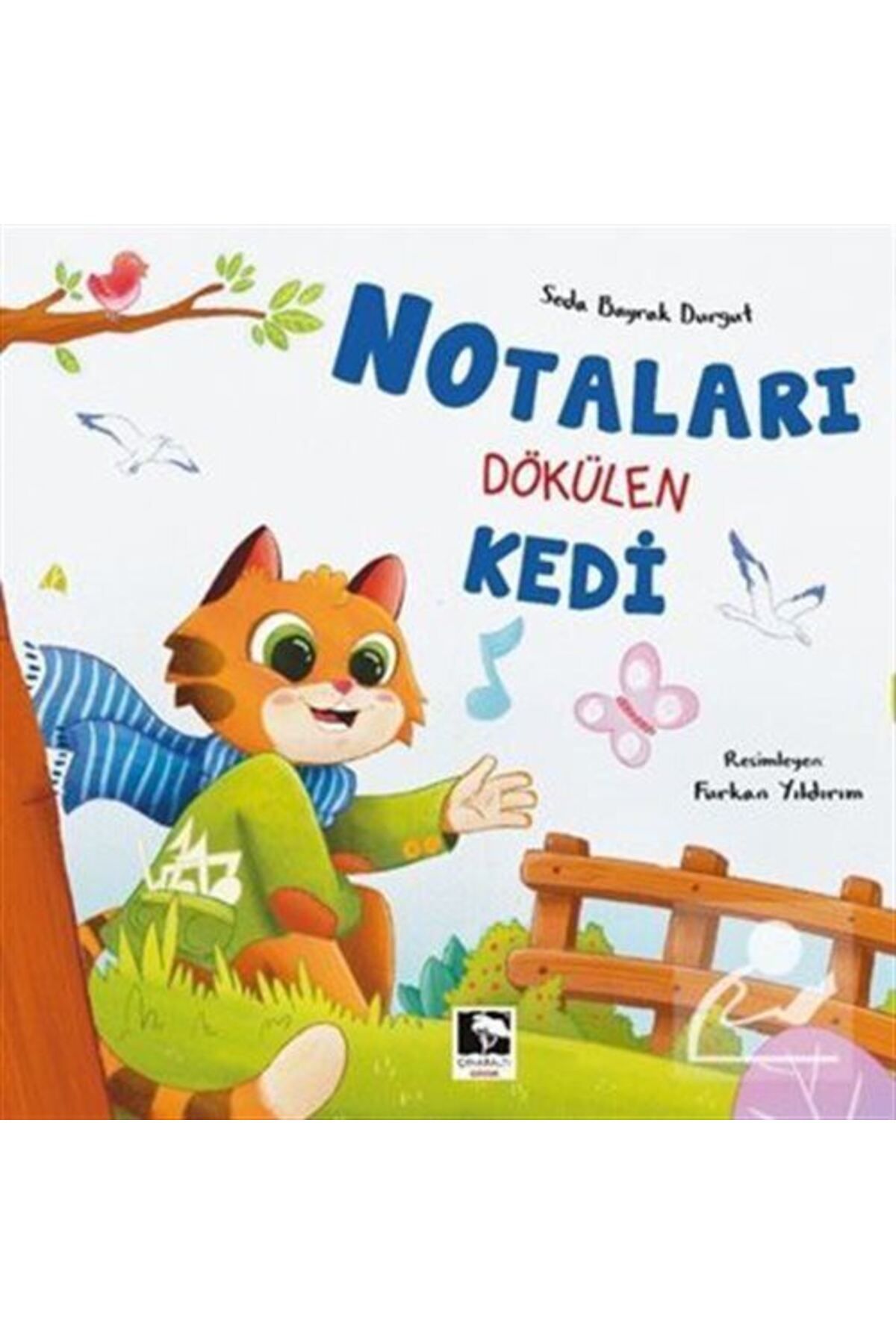 Çınaraltı Yayınları Notaları Dökülen Kedi