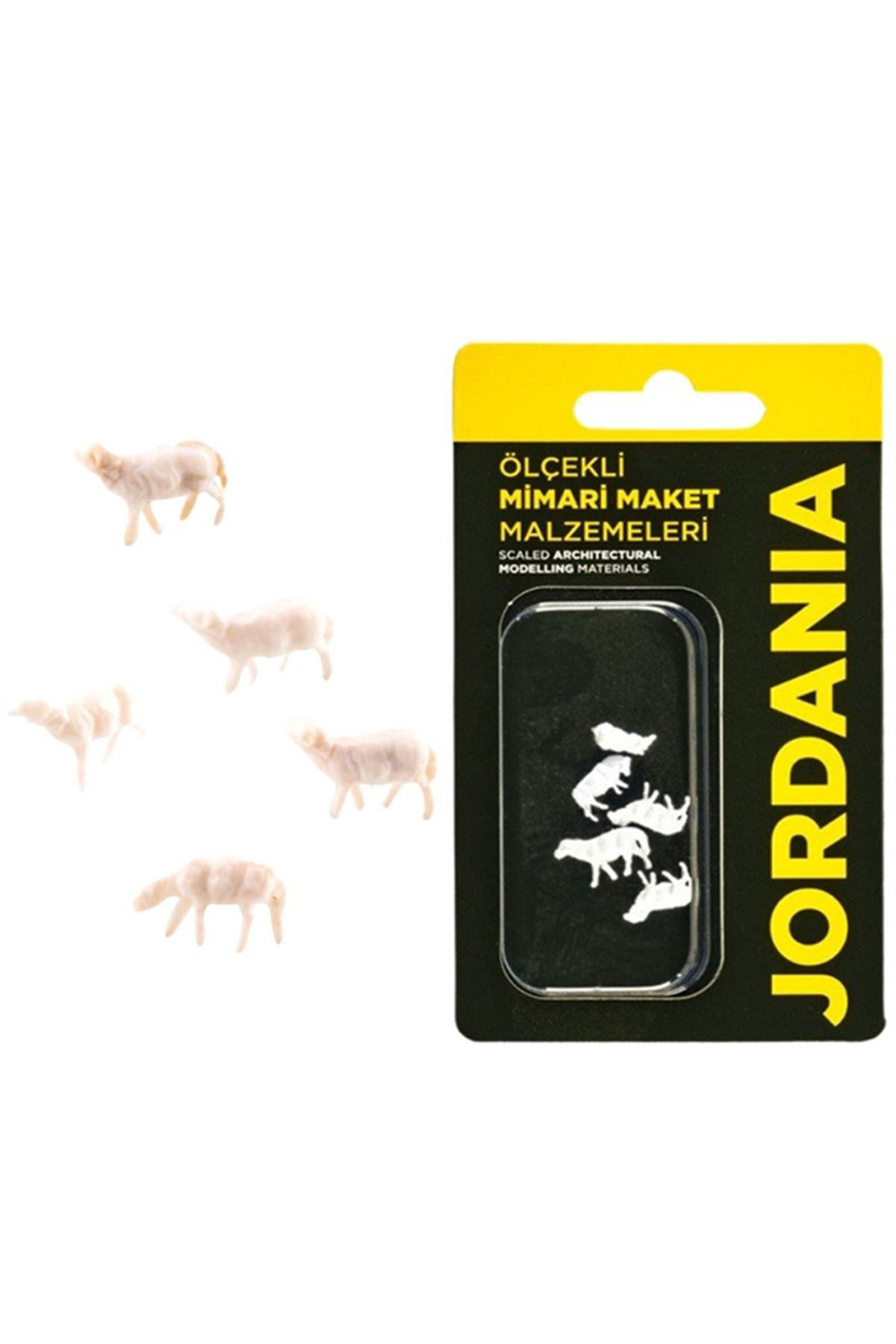 gnsstore Jordania Koyun 1/100