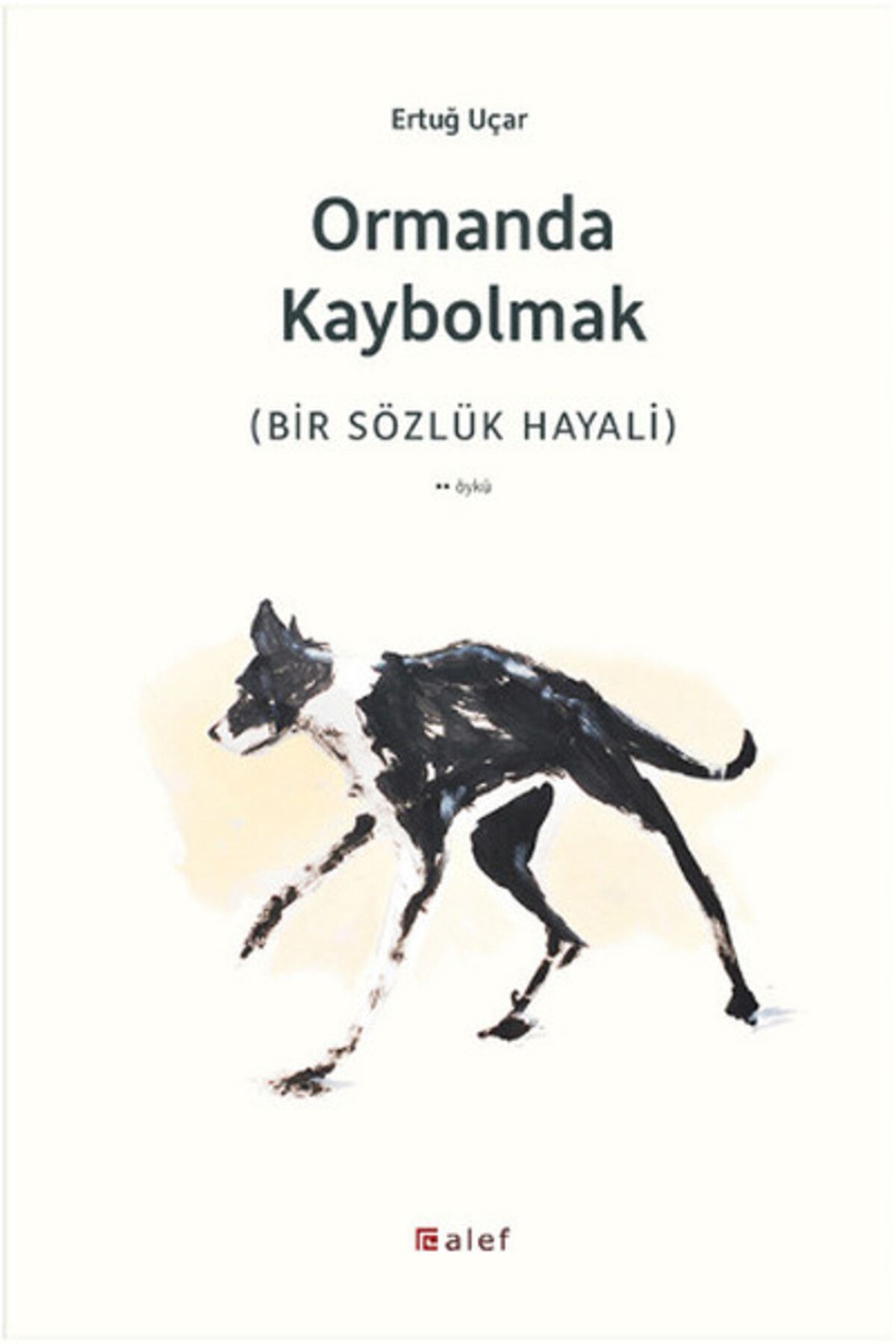 Alef Yayınevi Ormanda Kaybolmak