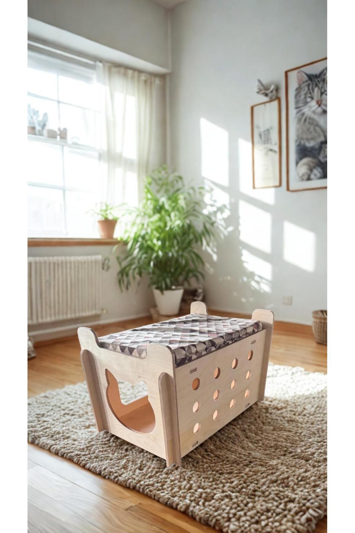 Pige Asia Kedi Köpek Evi