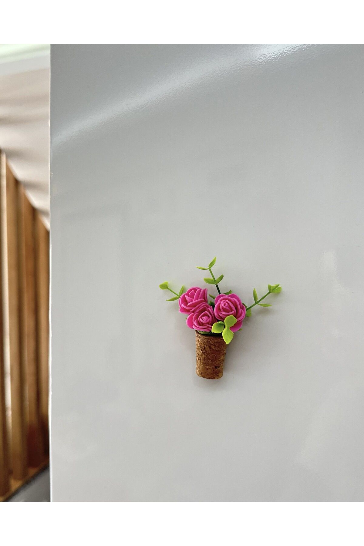 Plantarrium Design Mantar Magnet- Sarmaşık
