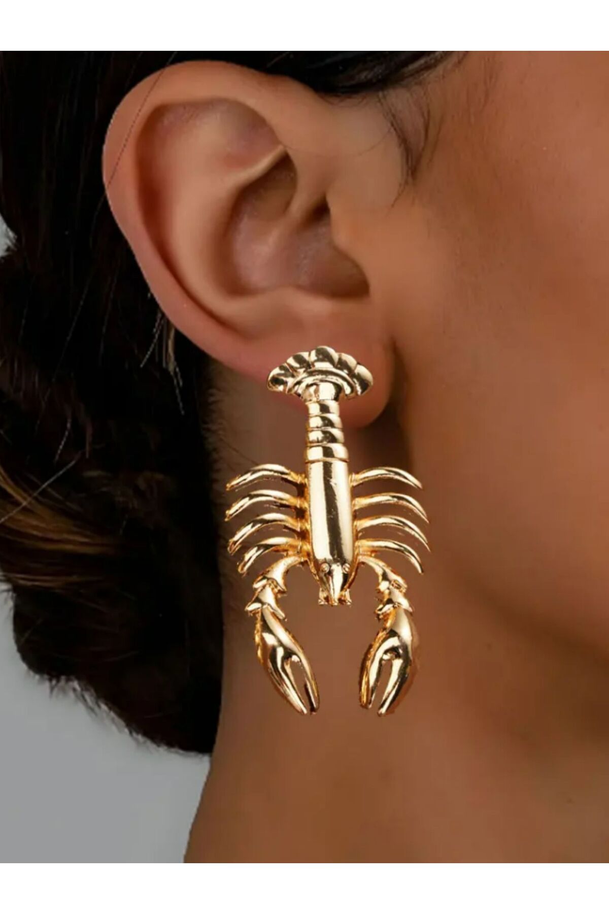 Lobster/Scorpion Design Earrings