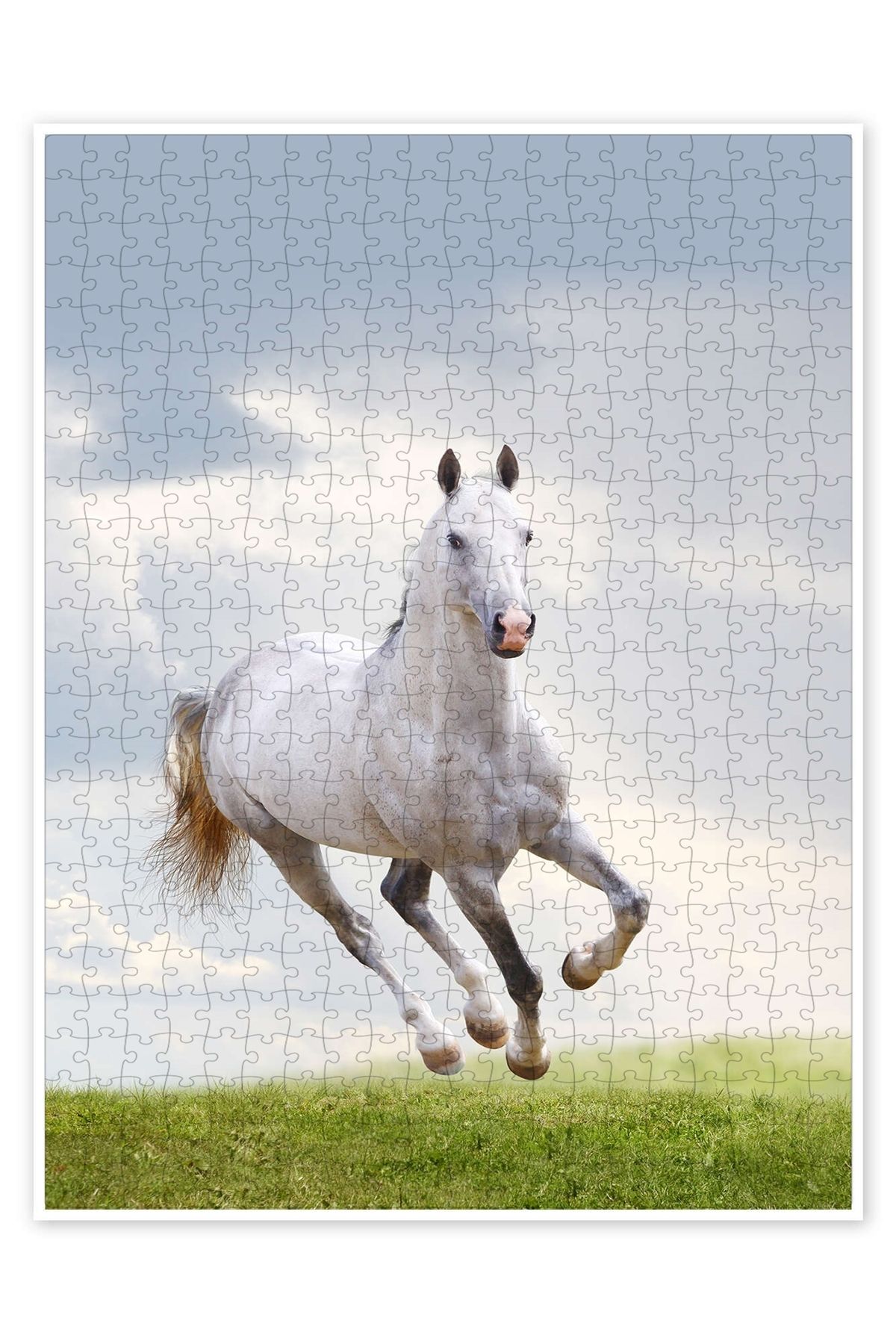Jeronkarji Aygır dörtnala koşu 500 Parça Puzzle Yapboz Kedi Köpek Temalı Doğa ve Orman Hayvanları