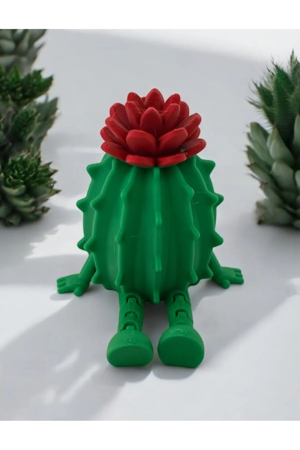 printastic Eklemli Çiçekli Kaktüs Dekor