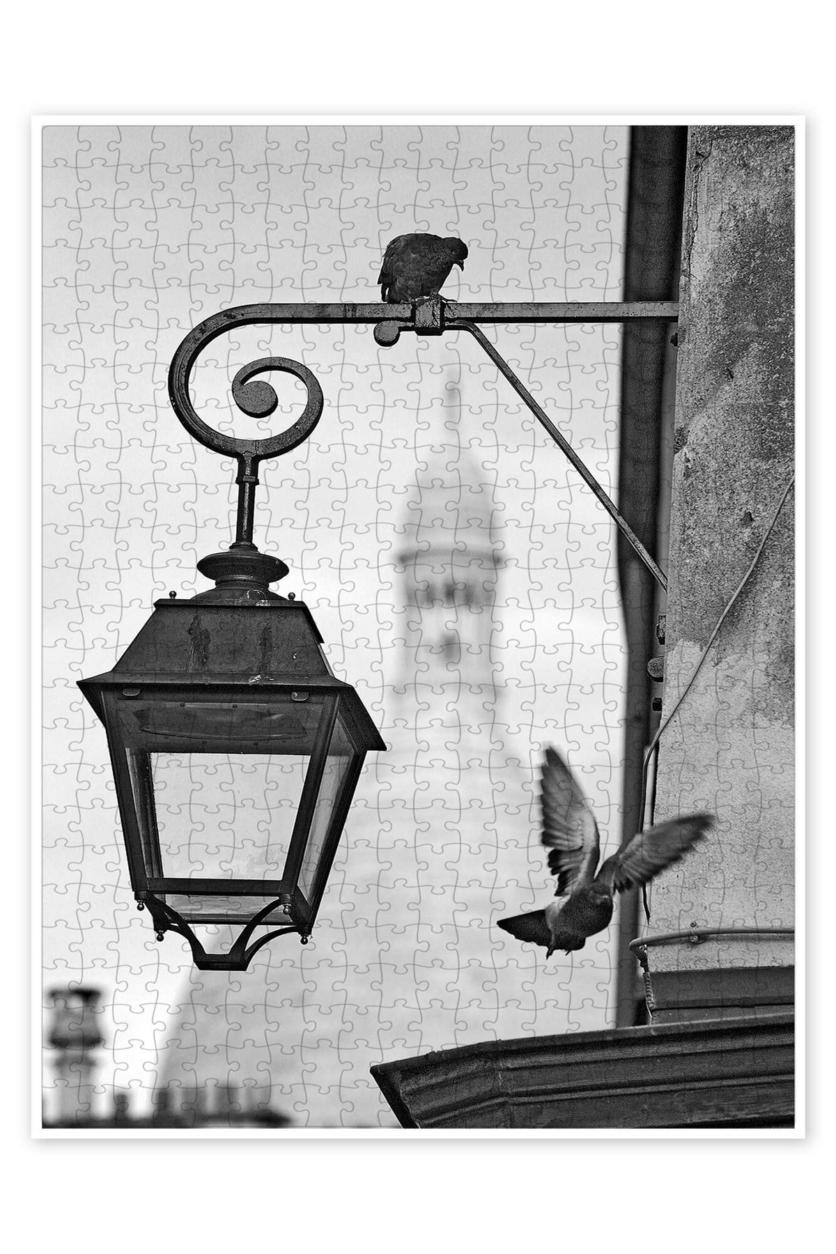 Jeronkarji Montmartre güvercinleri Sacre Coeur 500 Parça Puzzle Yapboz Şehir Manzara Temalı Hobilik