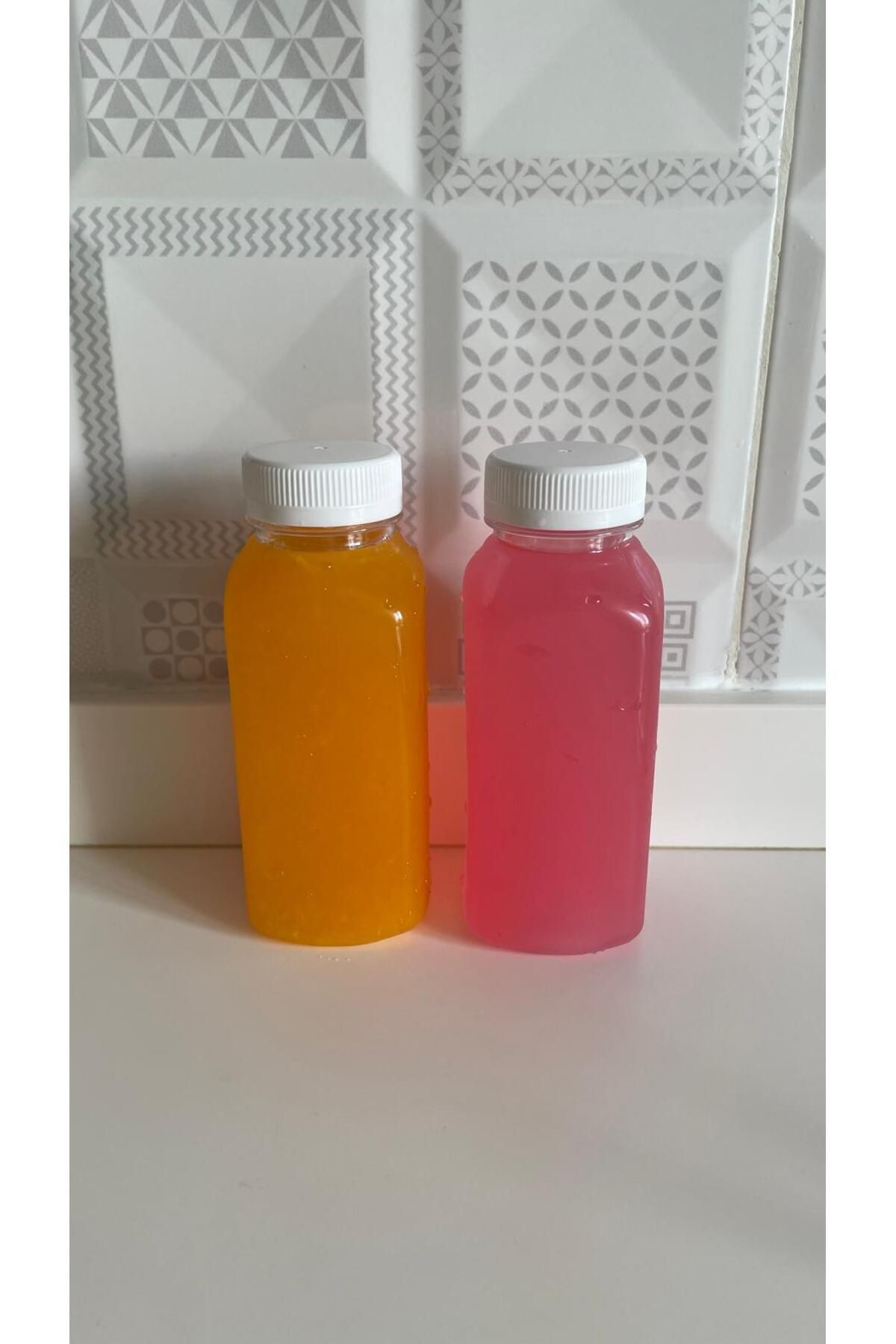 Ervo 250 ML MEYVE SUYU ŞİŞESİ PET 3 ADET
