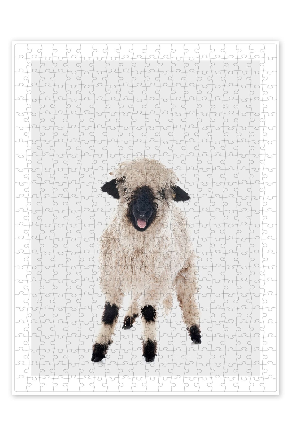 Jeronkarji Kıvırcık Kuzu 500 Parça Puzzle Yapboz Kedi Köpek Temalı Doğa ve Orman Hayvanları