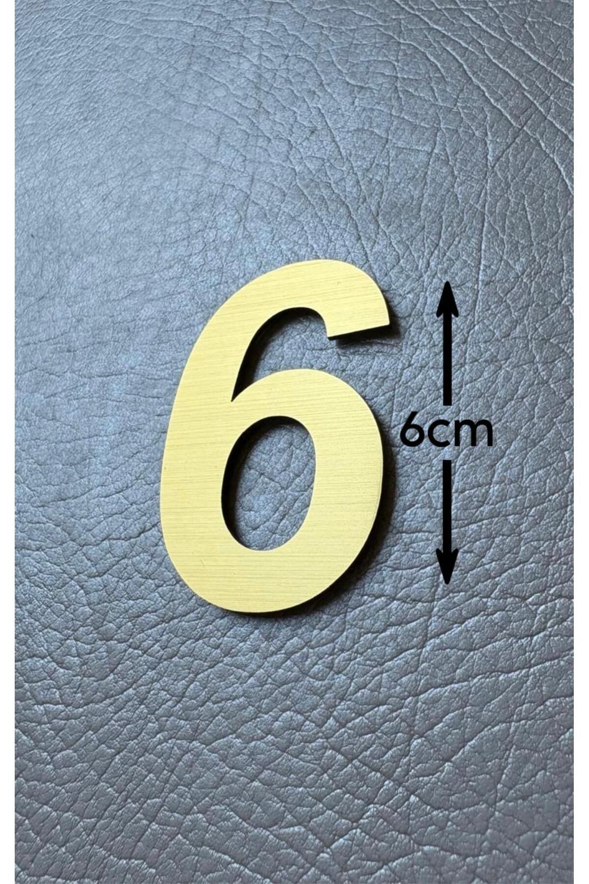 SE-Dizayn Kapı Numarası 6 CM No. 6 Daire Masa Dolap Numarası Fırcalı GOLD Kendinden Yapışkanlı
