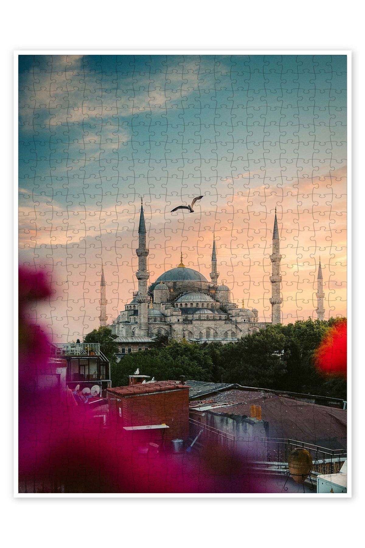 Jeronkarji İstanbul Sultan Ahmet Camii Üzerinde Martı 500 Parça Puzzle Yapboz Şehir Manzara Temalı Hobilik