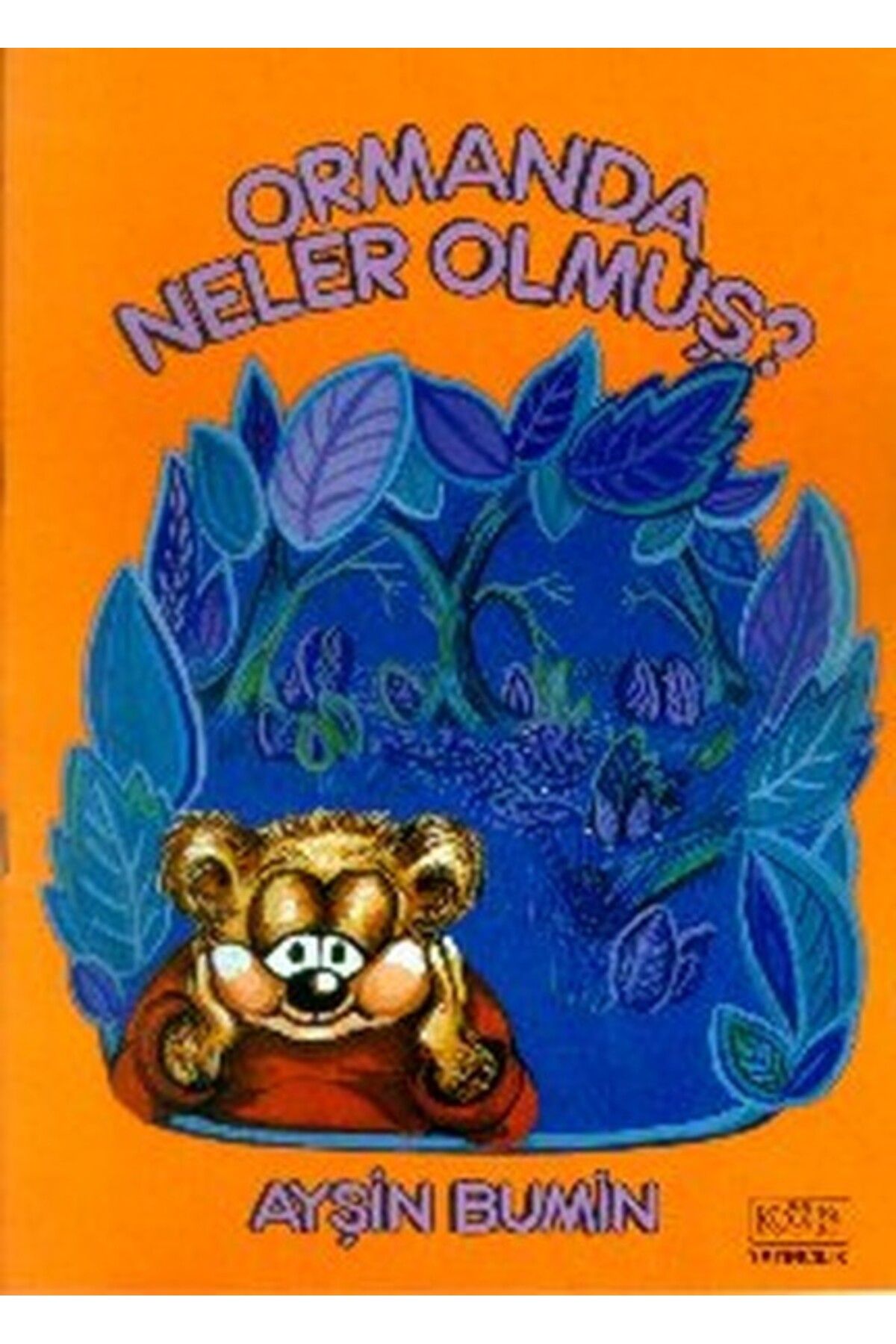 Kök Yayıncılık Ormanda Neler Olmuş