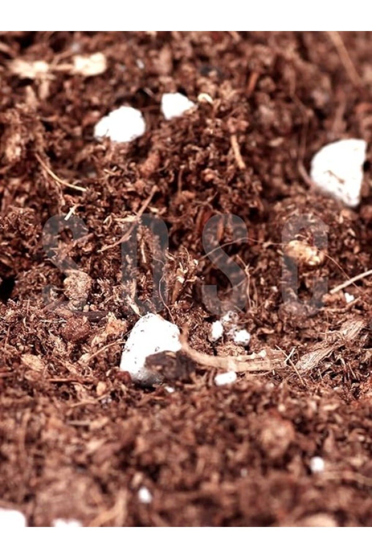 ShopZum Substrat Mix Ithal Torf Cocopeat Perlit Karışım Saksı Harcı Çiçek Ve Bitki Toprağı 3 Lt