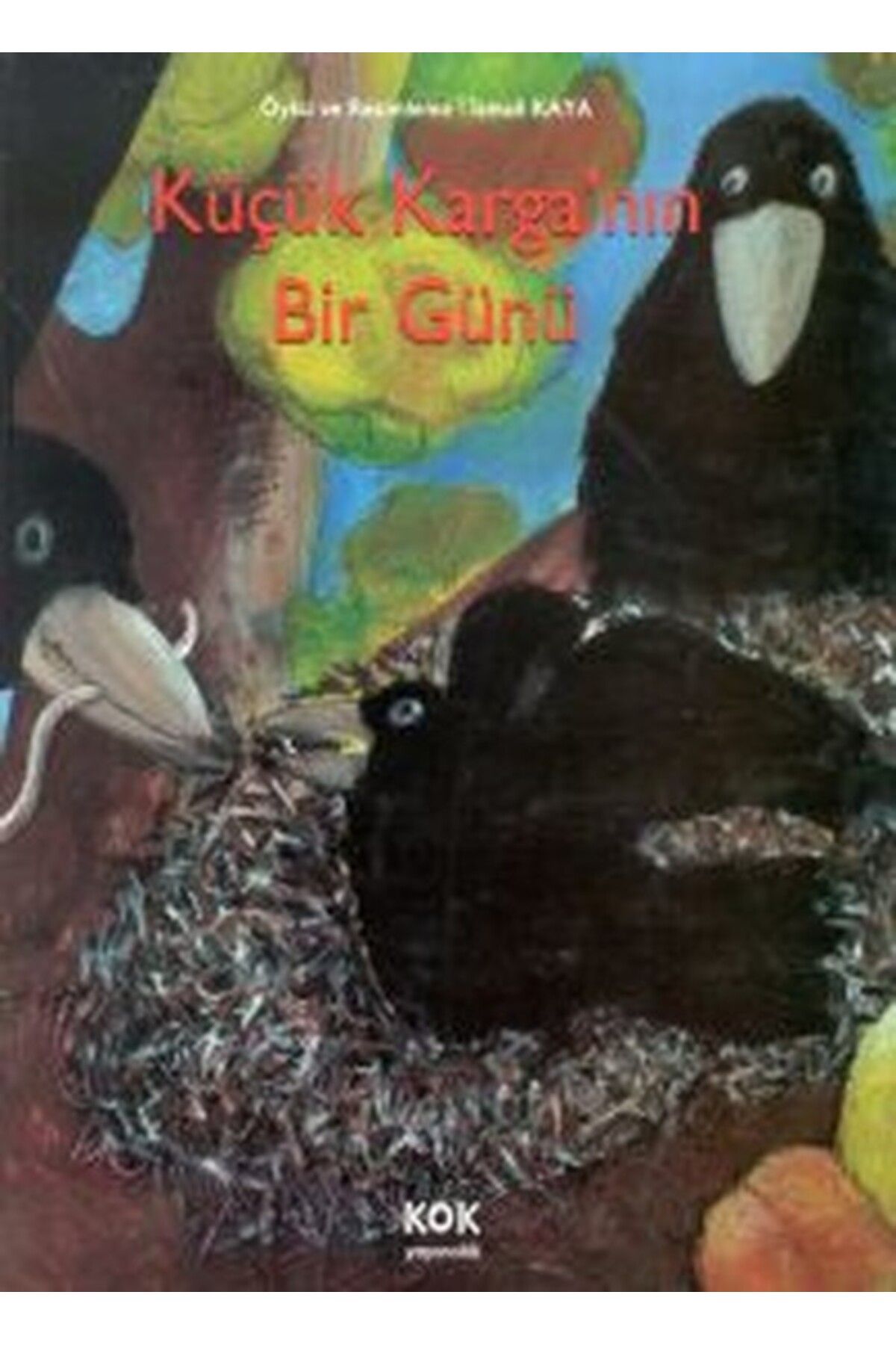 Kök Yayıncılık Küçük Karganın Bir Günü (Ciltli)