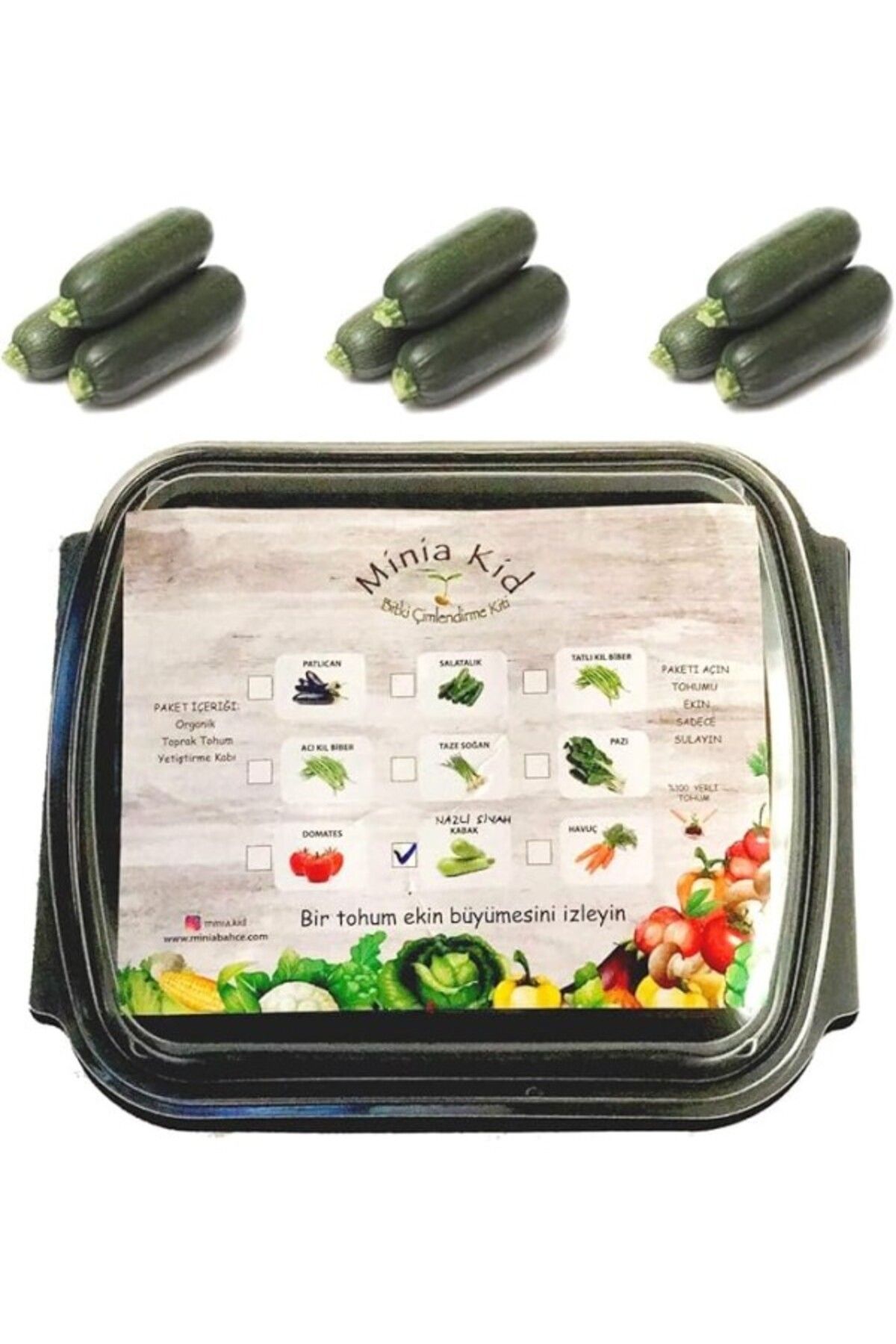 ShopZum Sebze Yetiştirme Kiti (Siyah Kabak)