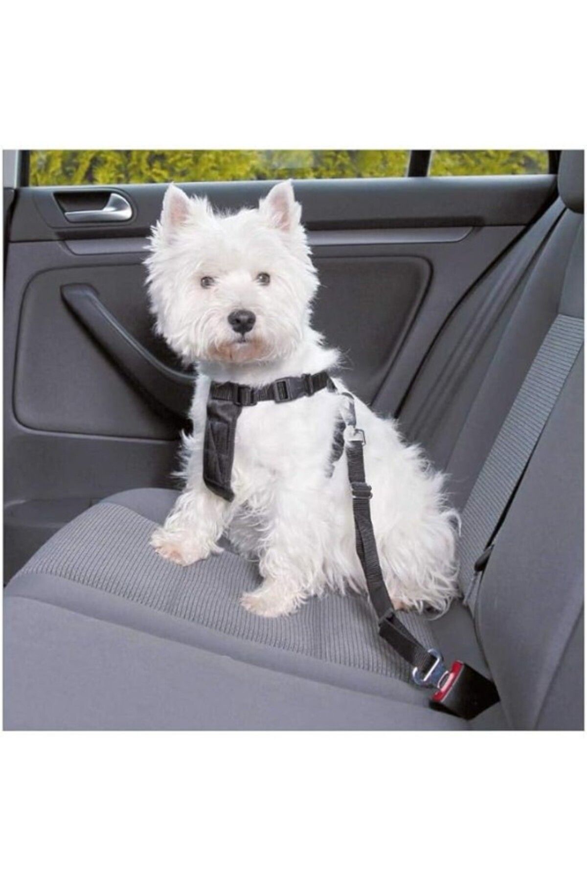 ShopZum Trixie Köpek Emniyet Kemeri Xs 20-50Cm
