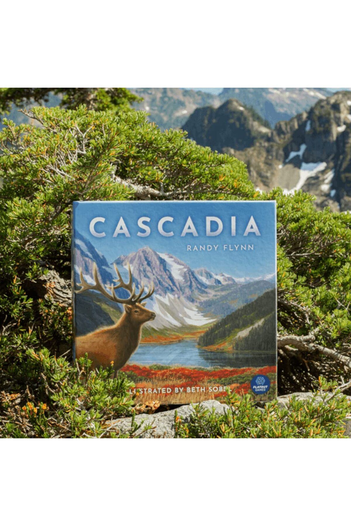 AEG-Flatout Games | Cascadia - Award-Winning Board Game Set in the Pacific Northwest | Easy to Learn 2