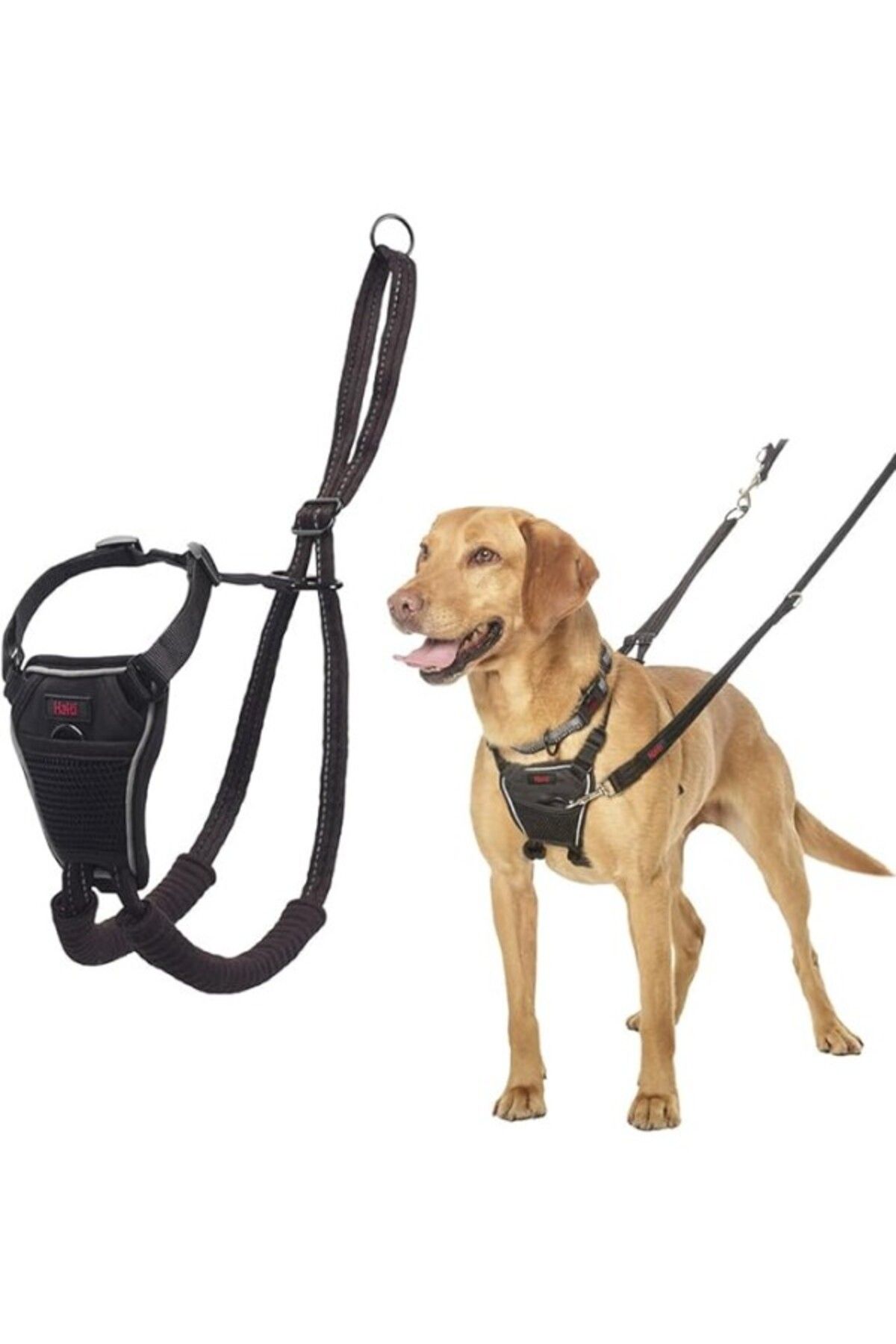 ShopZum Company Of Animals Halti Köpek Çekme Önleyici Göğüs Tasması, Orta Boy
