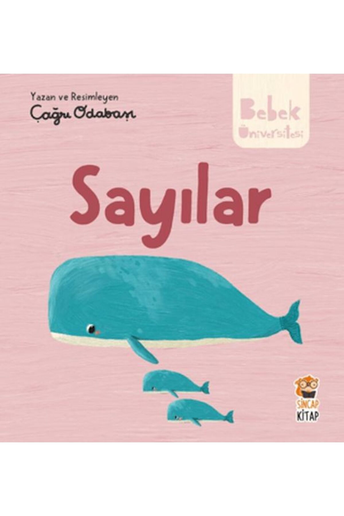 Genç Timaş Hikayeli İlk Kavramlarım - Sayılar