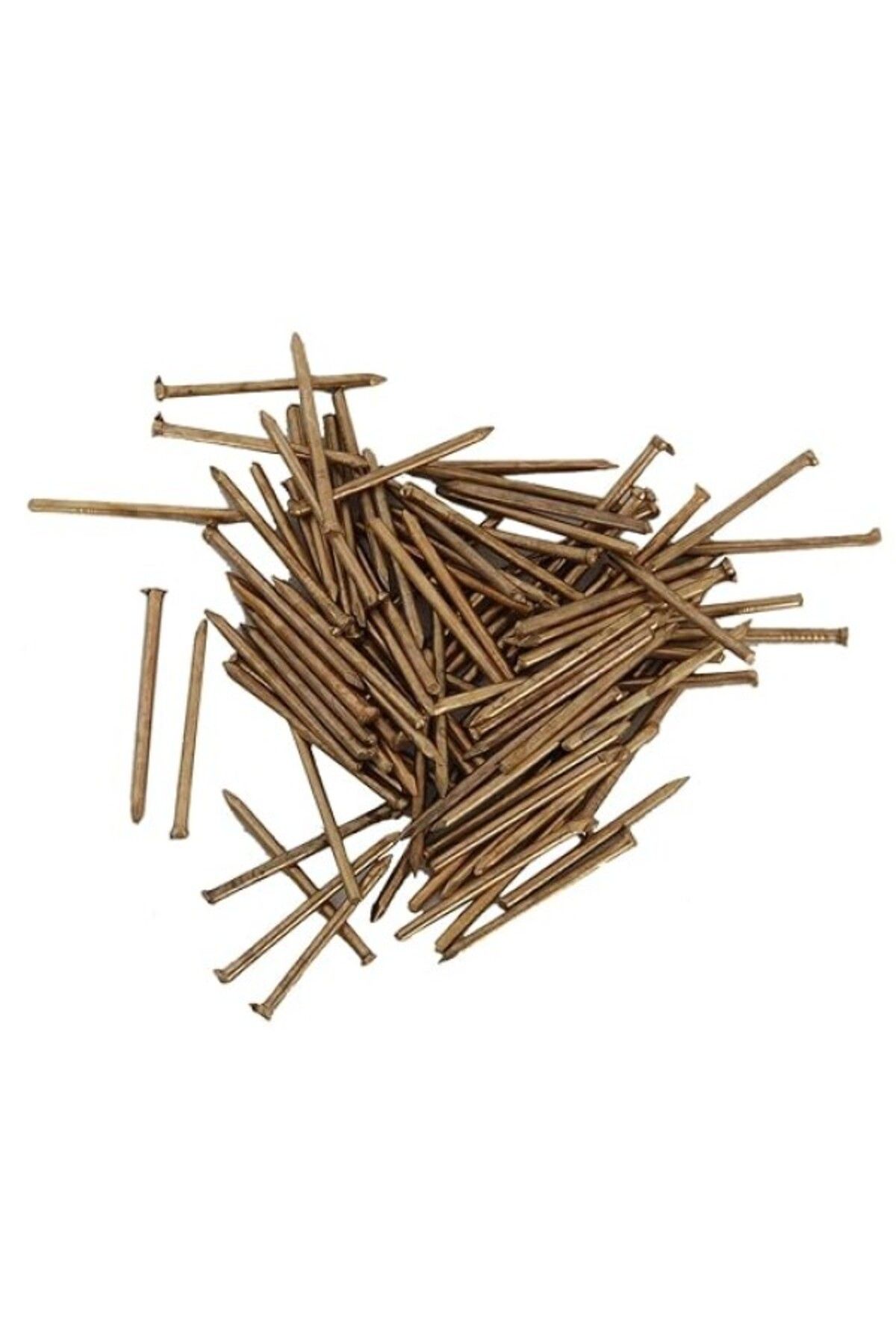 ShopZum Netzerkoz All Essential Fasteners 100 Adet 2X30Mm Beton/Parke/Duvar Çivisi