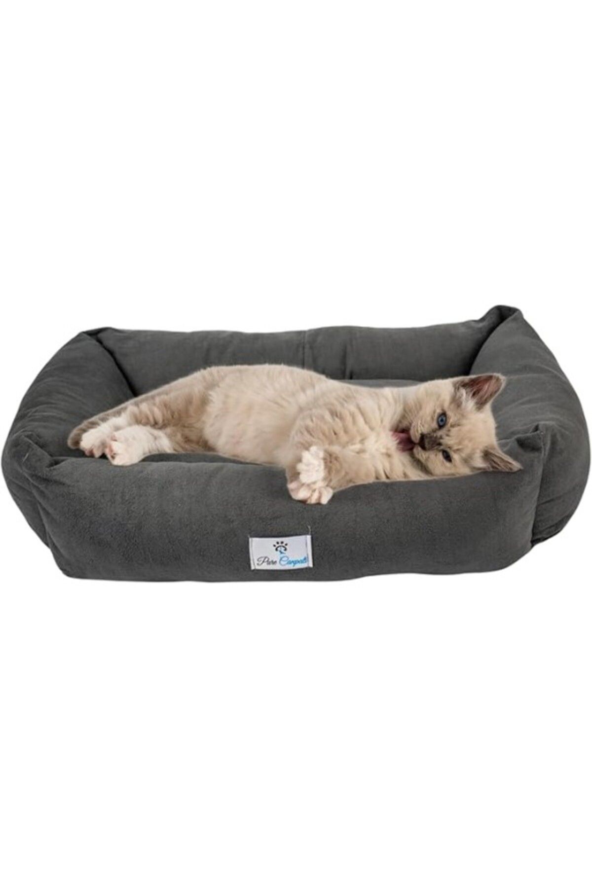 ShopZum Purecanpati Kedi Yatağı, Küçük Irk Köpek Yatağı 55 Cm X 40 Cm Antrasit Renk