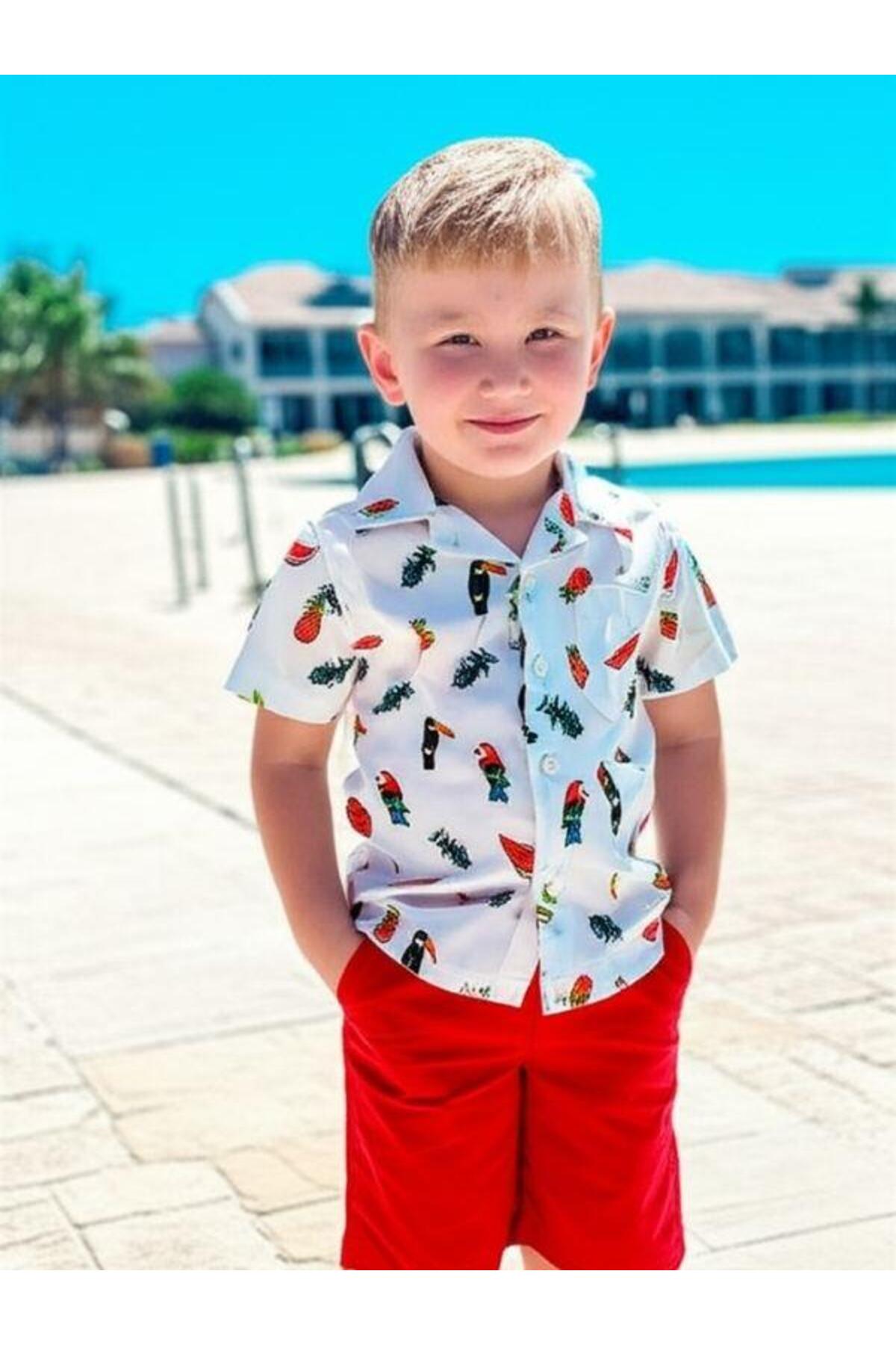 Zekids Erkek Bebek Papağan Desenli Gömlek fotoğrafı 4 (önizleme)