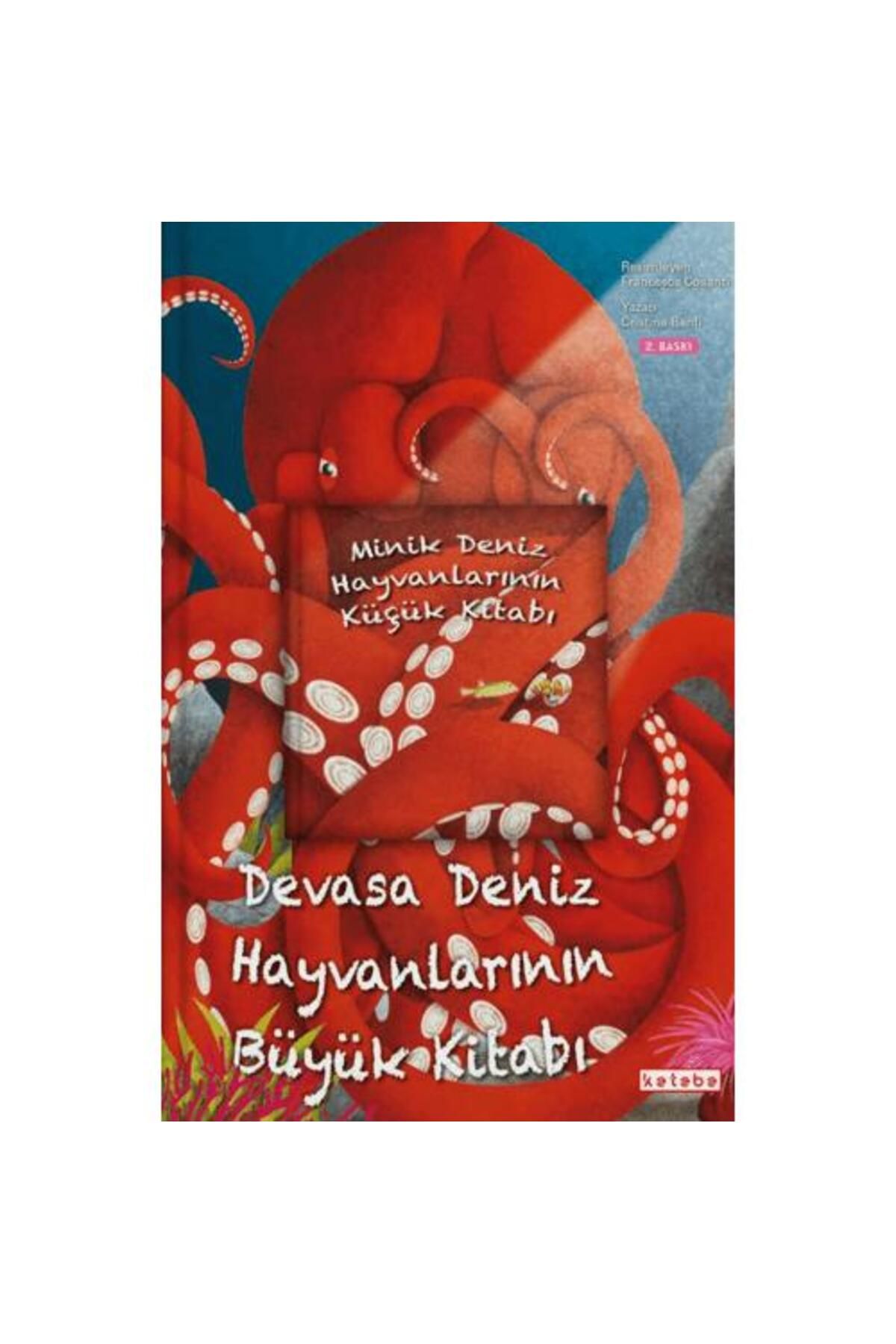 KETEBE ÇOCUK Devasa Deniz Hayvanlarının Büyük Kitabı & Minik Deniz Hayvanlarının Küçük