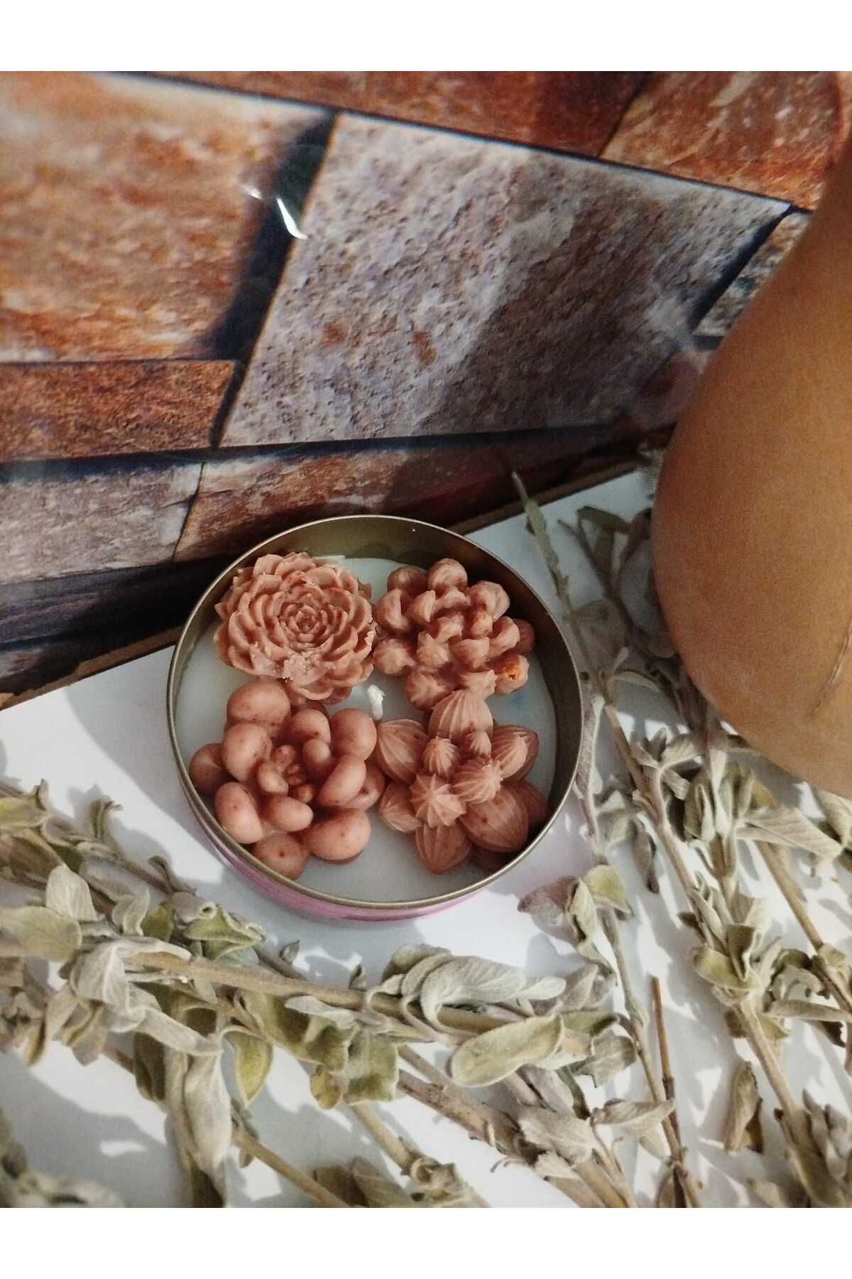 dephome Kahve kokulu sukulent mum
