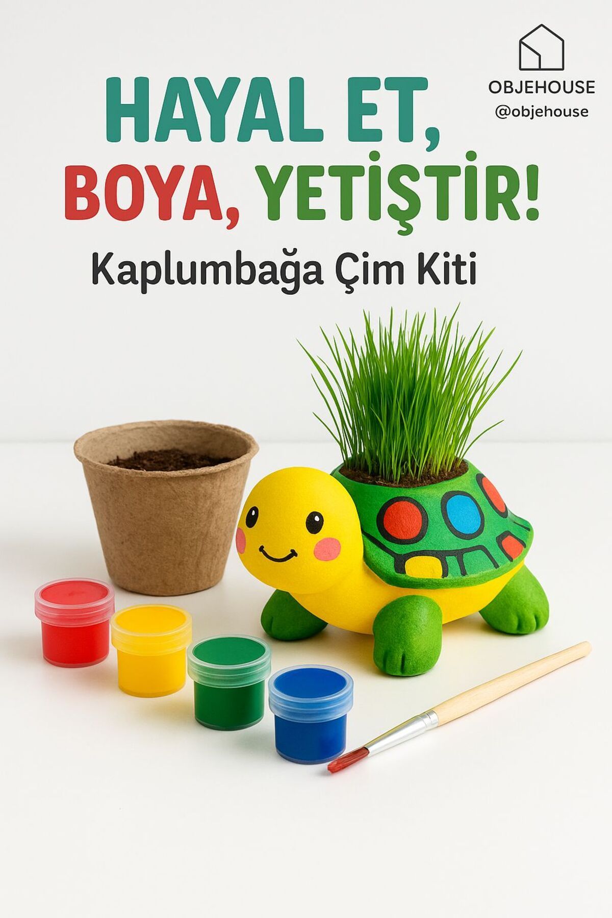 WeSank Hayal Et, Boya, Yetiştir! – Kaplumbağa Çim Kiti + Boyalar & Sürpriz Hediyeli