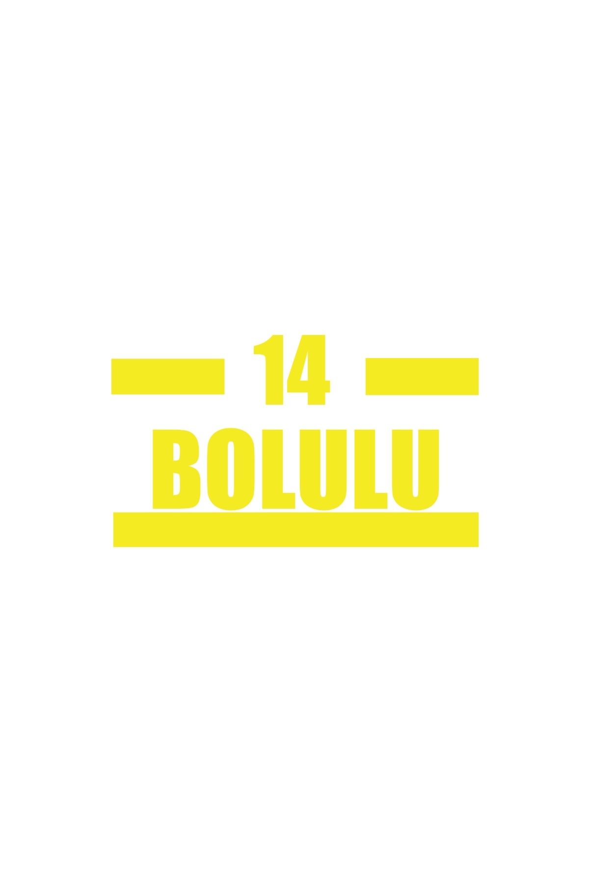 Reysa Tasarım 14 Bolulu Araba Sticker 17x17 Cm Sarı