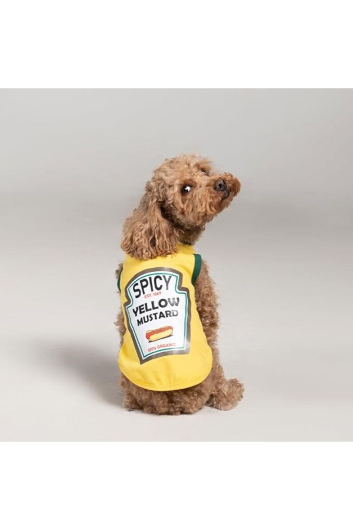 ShopZum Salya Store Mustard Yazlık Köpek Atlet (Kedi,Köpek Kıyafeti Küçük Irklar) (Medium)