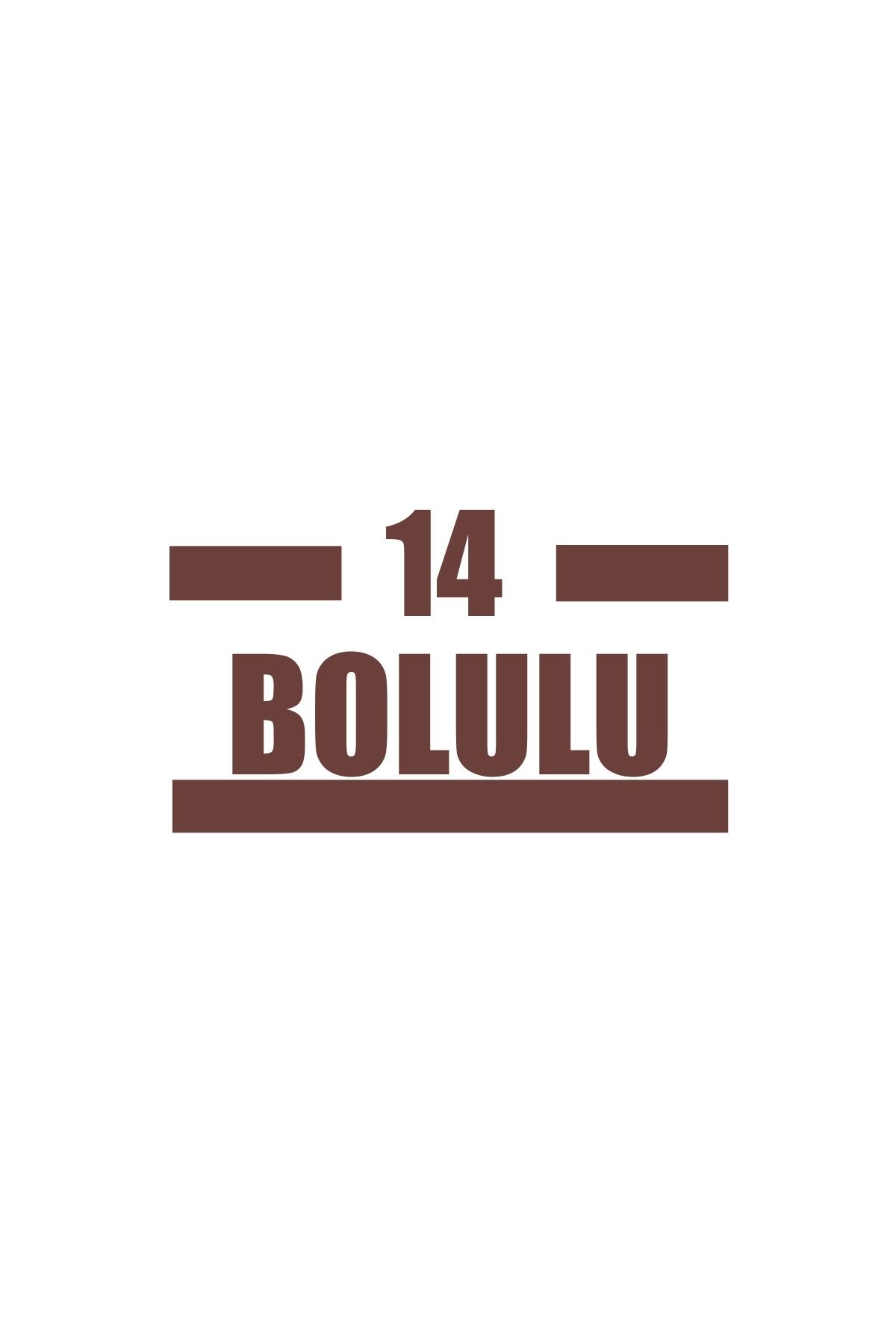 Reysa Tasarım 14 Bolulu Araba Sticker 17x17 Cm Kahverengi