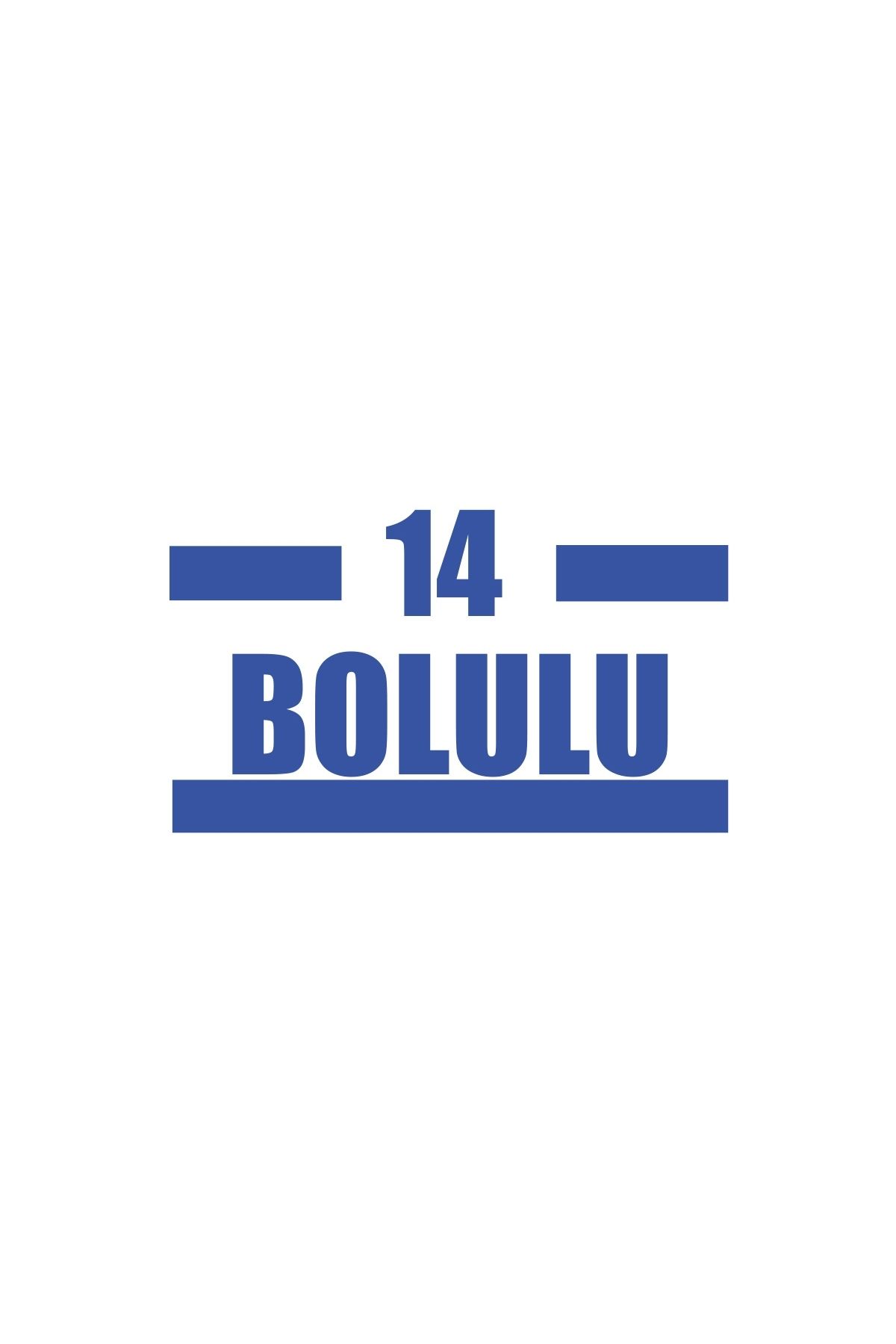 Reysa Tasarım 14 Bolulu Araba Sticker 17x17 Cm Mavi