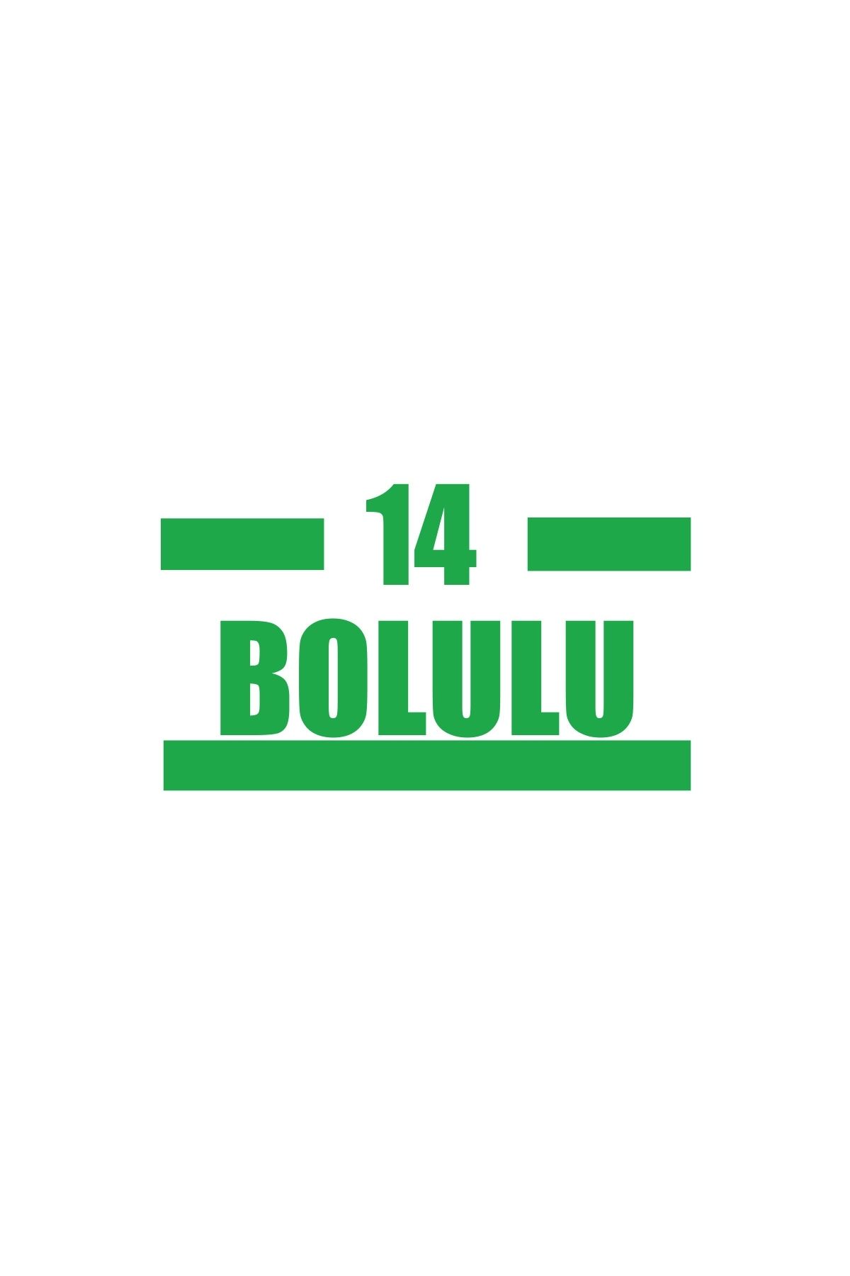 Reysa Tasarım 14 Bolulu Araba Sticker 17x17 Cm Yeşil