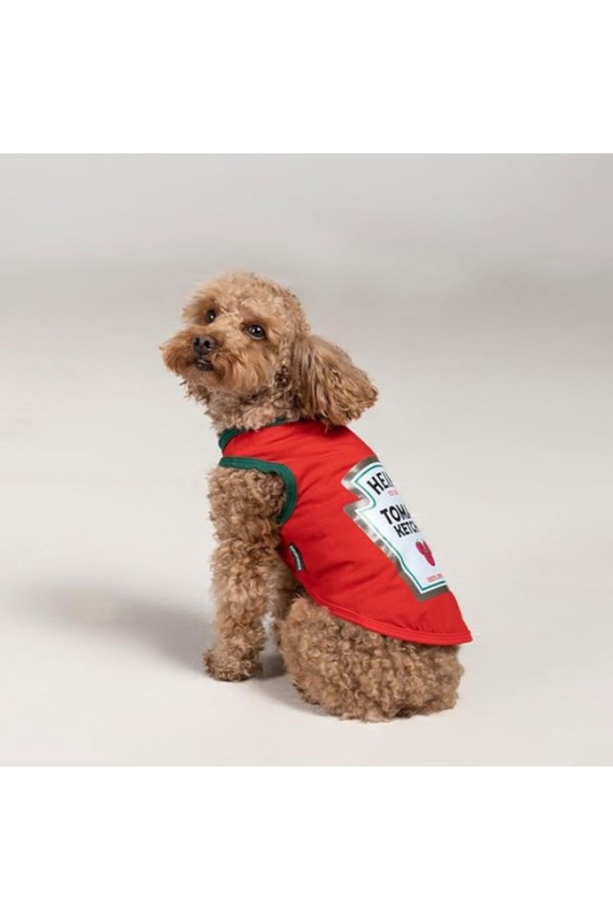 ShopZum Salya Store Ketchup Yazlık Köpek Atlet (Kedi,Köpek Kıyafeti Küçük Irklar) (Large)