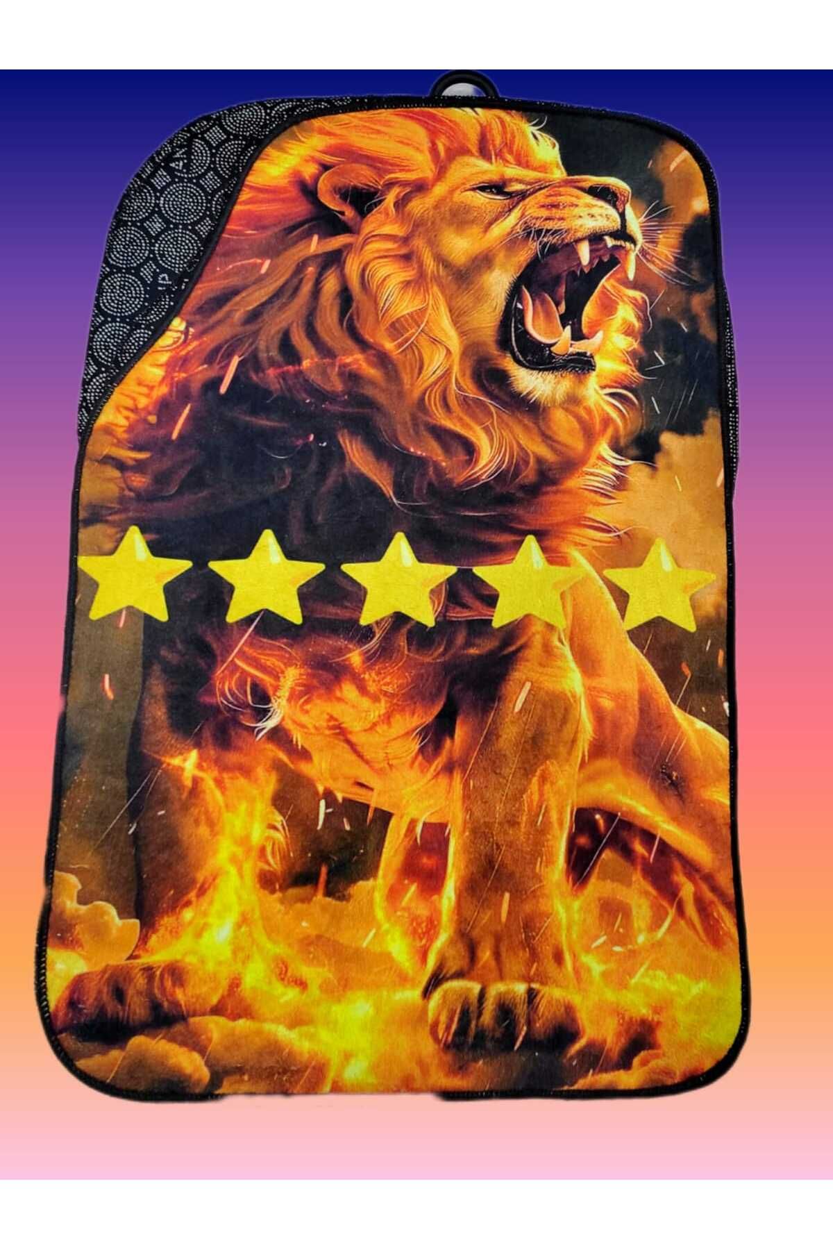 SS Oto Dijital Baskılı 4'lü Oto Halı Paspas Takımı Kaymaz Tabanlı Overloklu (48x72 & 35x48) cm