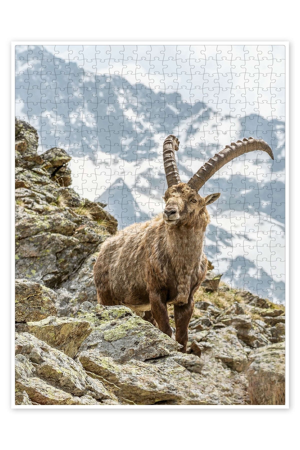 Jeronkarji Alpine Ibex II 500 Parça Puzzle Yapboz Kedi Köpek Temalı Doğa ve Orman Hayvanları