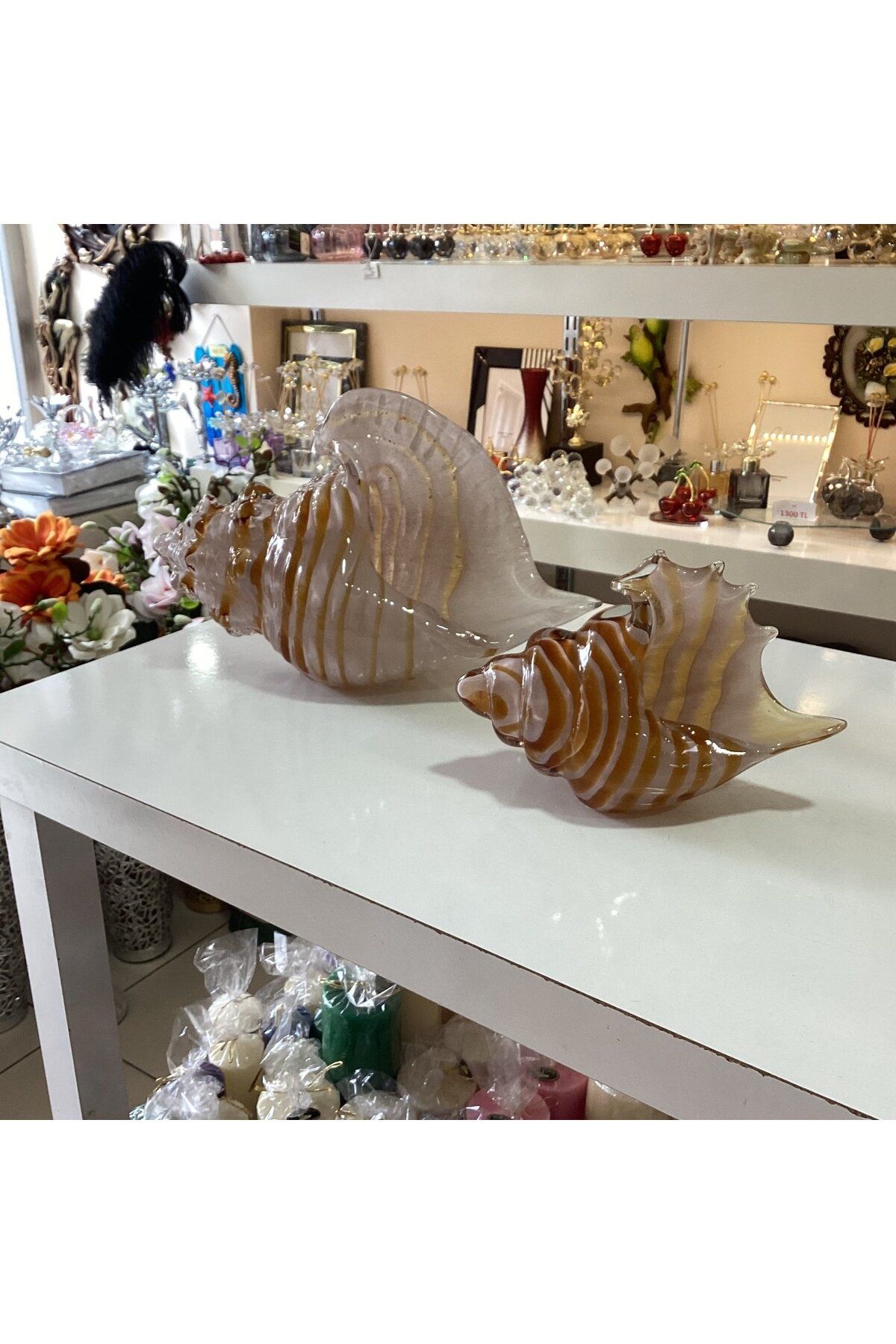 Gold home design Dekoratif Cam Renkli Deniz Kabuğu 2’Li 18-14cm