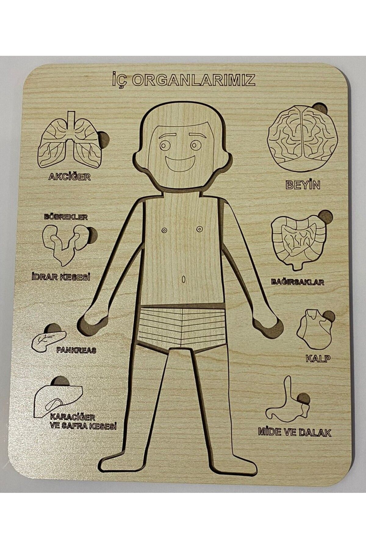 Aoz atölye Organlar Puzzle