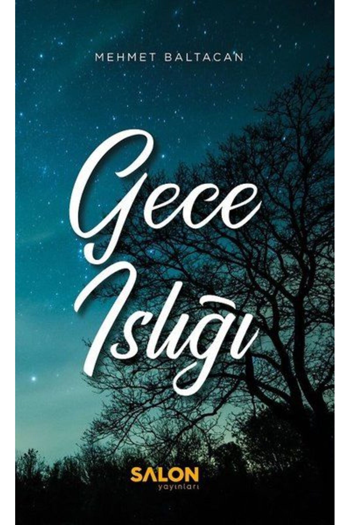 Salon Yayınları Gece Islığı