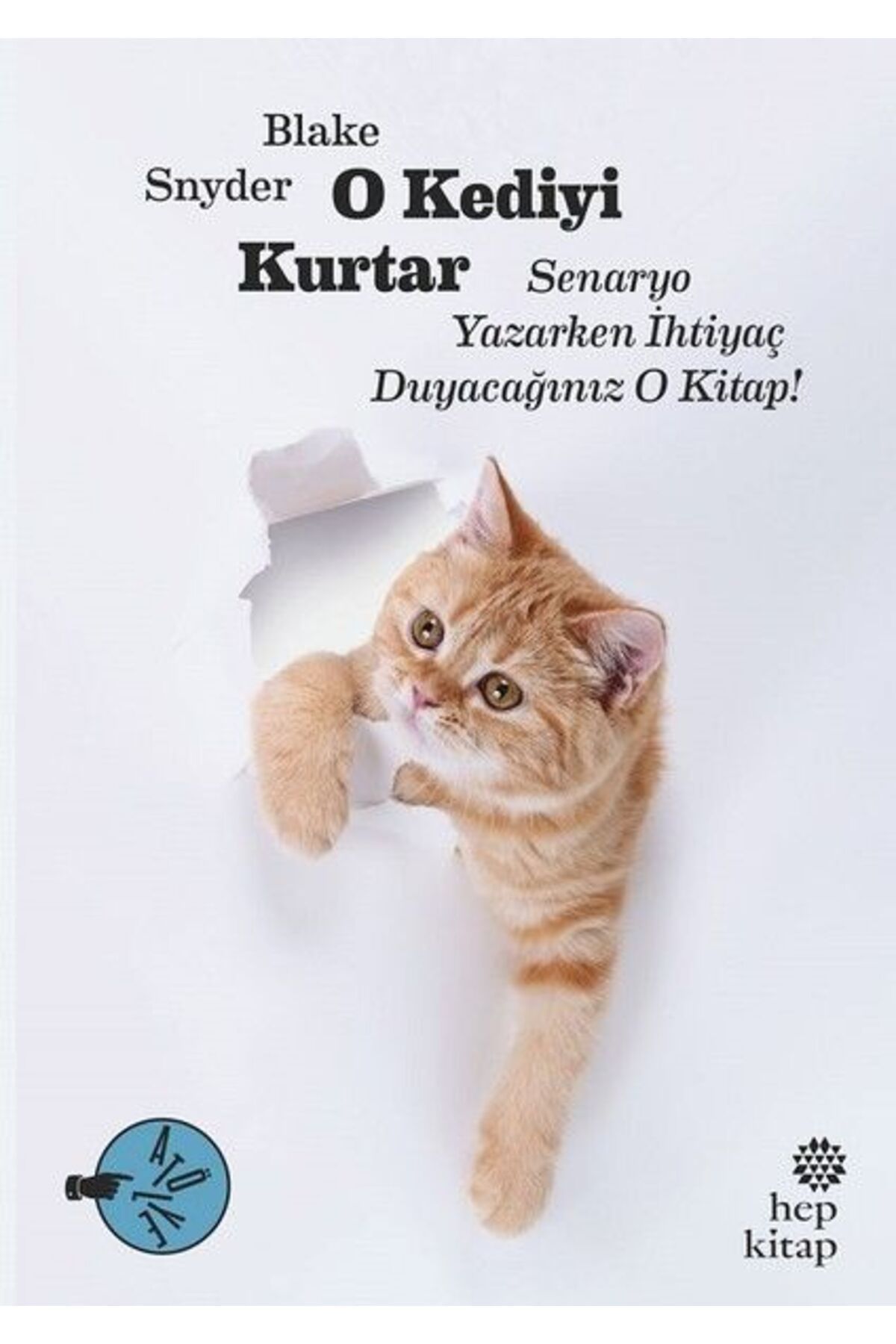 Hep Kitap O Kediyi Kurtar: Senaryo Yazarken İhtiyaç Duyacağınız O Kitap!