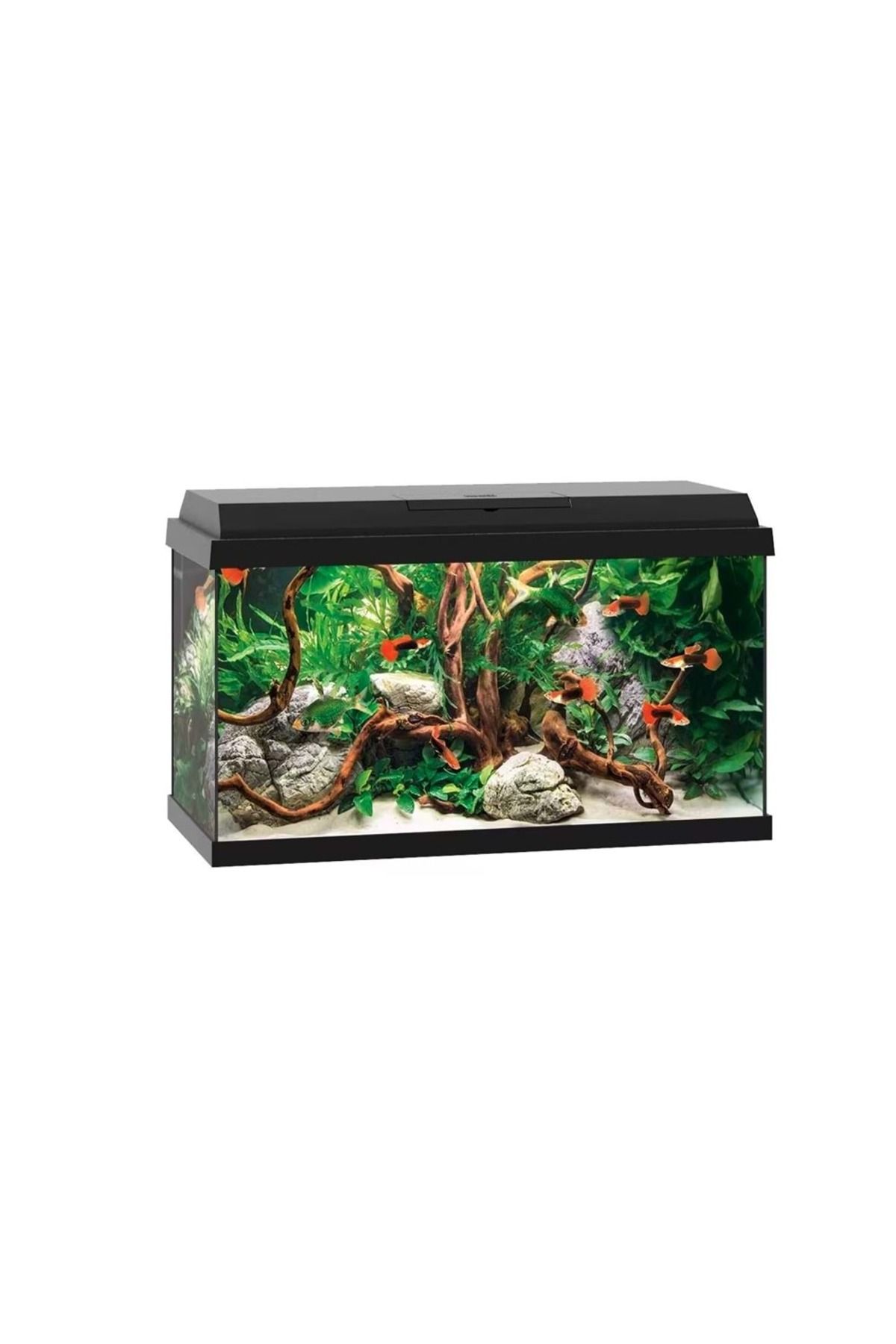 Juwel Akvaryum Komple Set Primo 60 2.0 Siyah 61x31x37 cm 57L