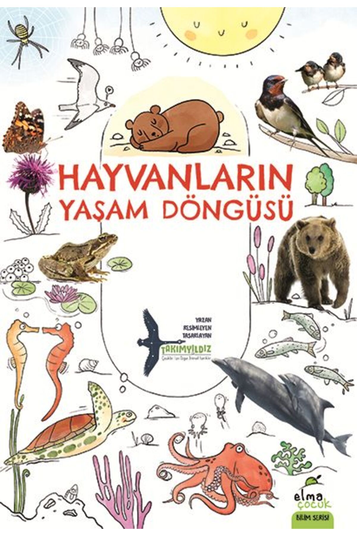 ELMA Yayınevi Hayvanların Yaşam Döngüsü