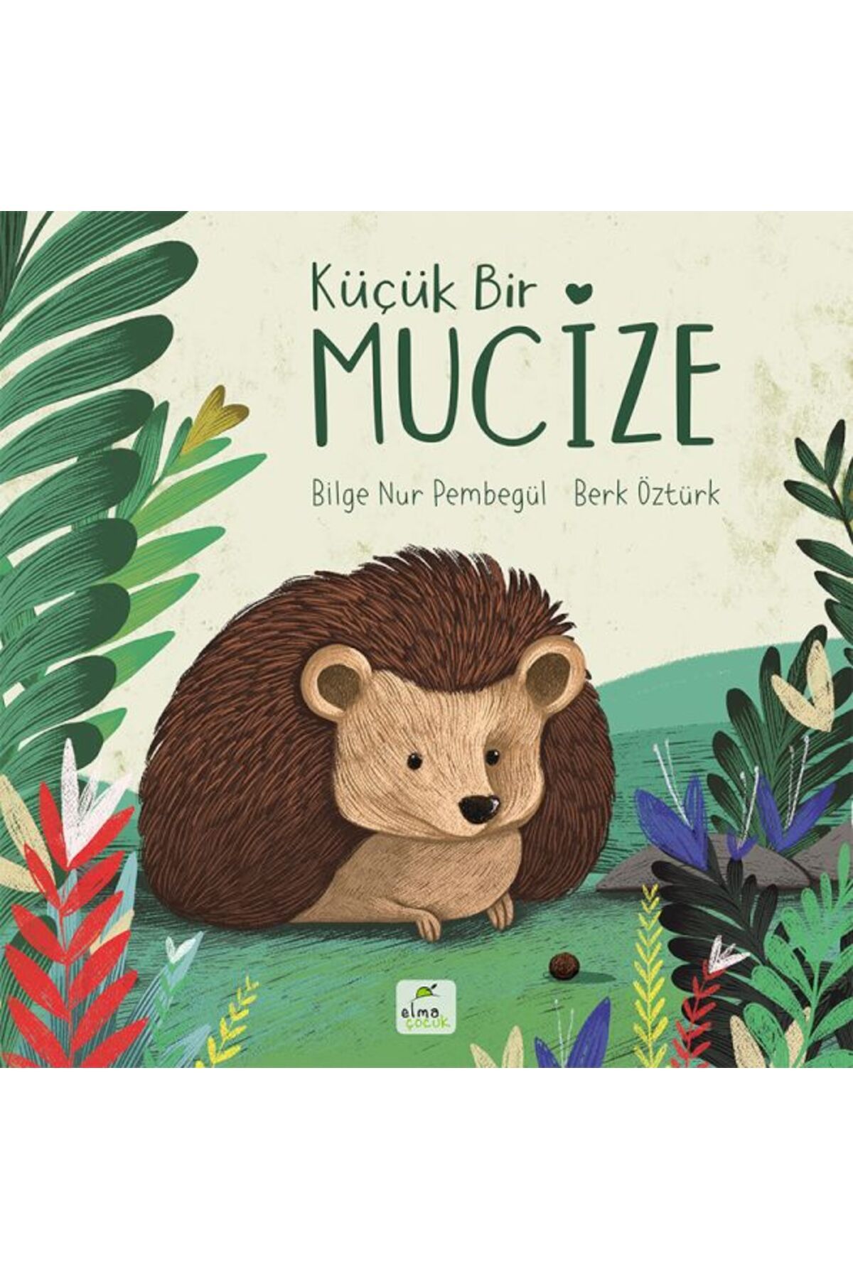 ELMA Yayınevi Küçük Bir Mucize