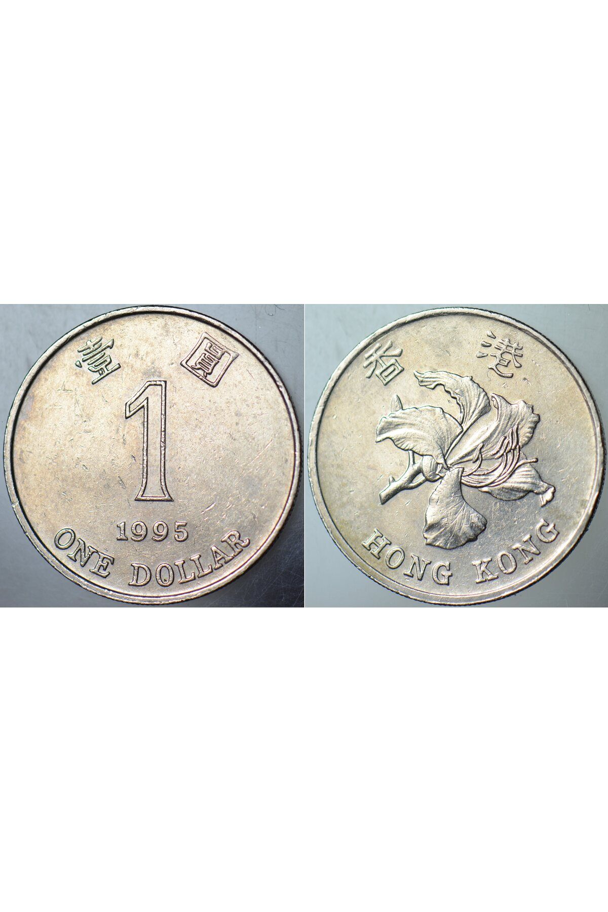 Banknoting HONG KONG 1 DOLAR 1995.