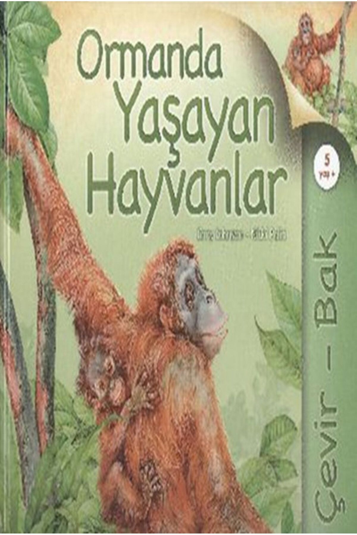 Türk Dil Kurumu Yayınları Çevir Bak Ormanda Yaşayan Hayvanlar