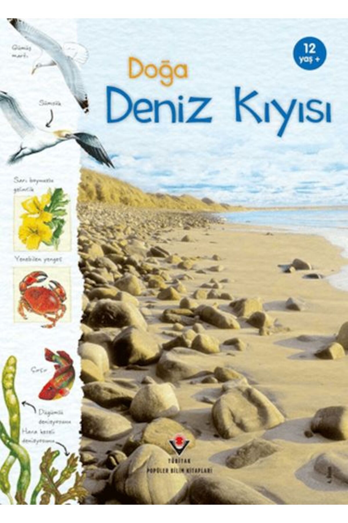 Türk Dil Kurumu Yayınları Doğa Deniz Kıyısı